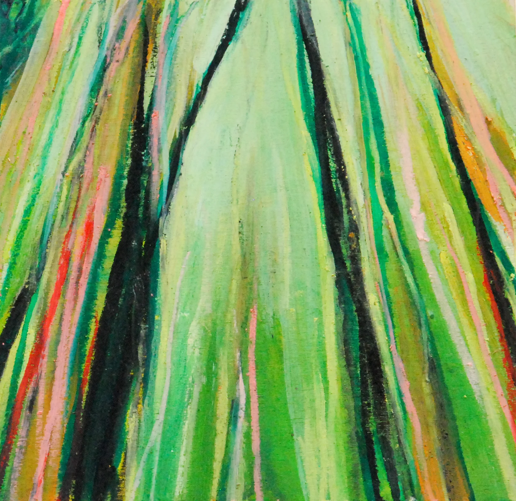 Surrounded Zoomed in.jpg