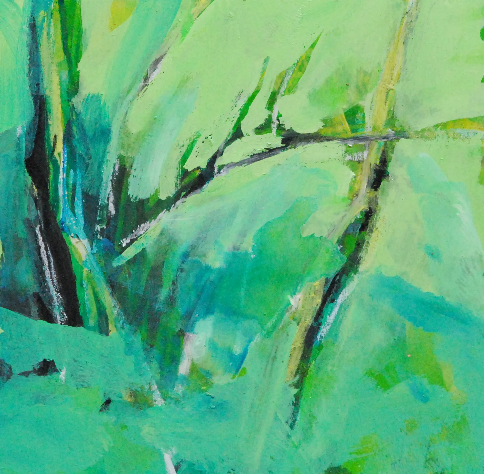 Deep Ferns zoomed in.jpg
