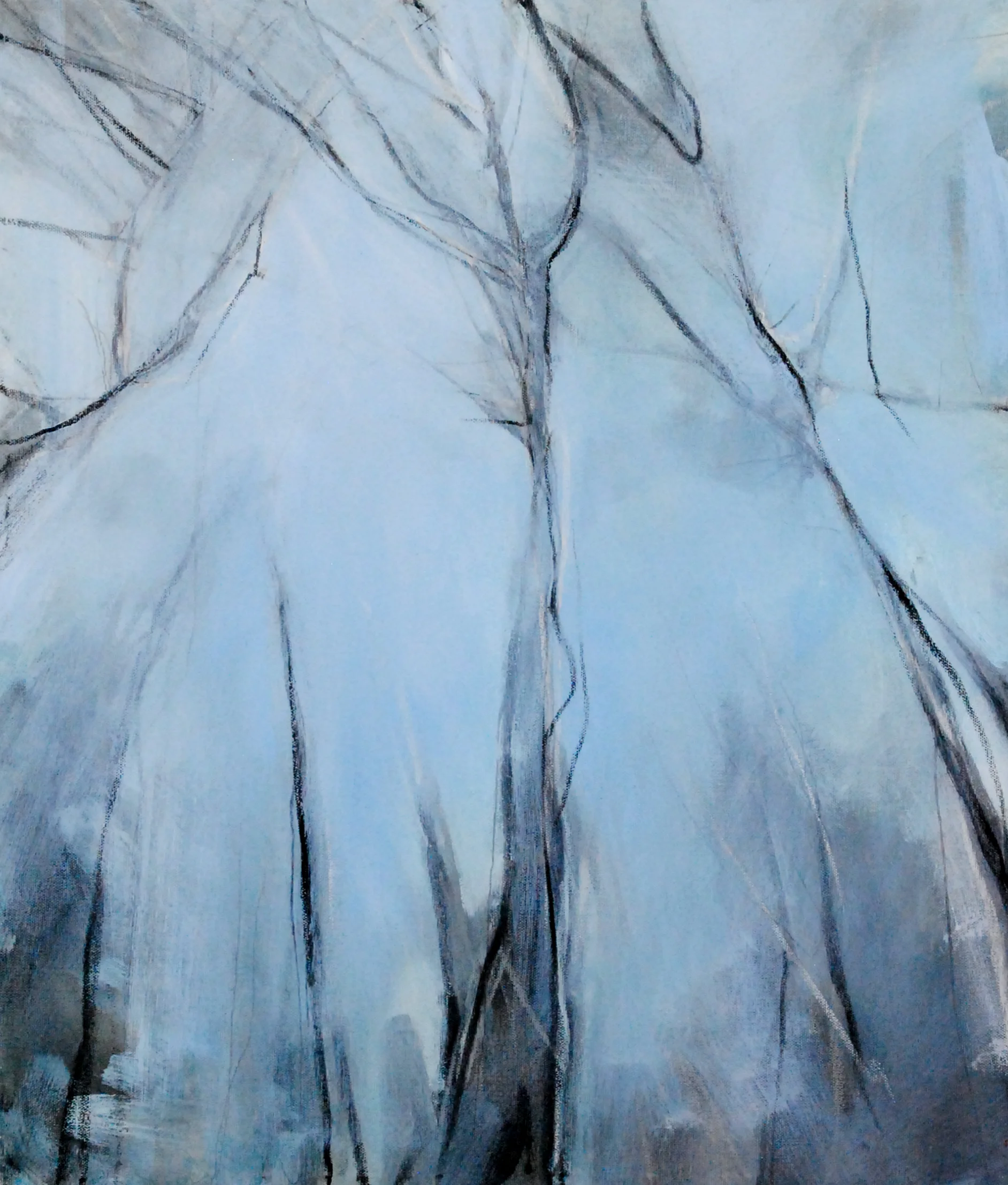 Eucalyptus Daze CROPPED.jpg