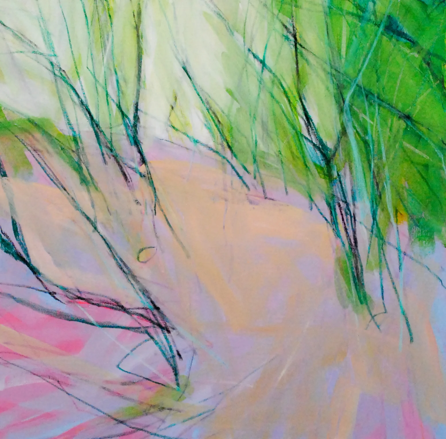 Forest Floor In Summer CROPPED.jpg
