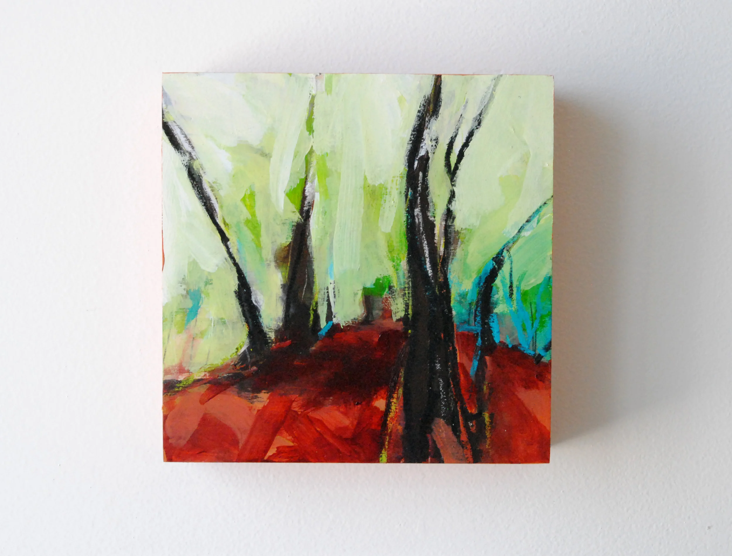 Rainforest of the Pacific Northwest 8x8 200.jpg
