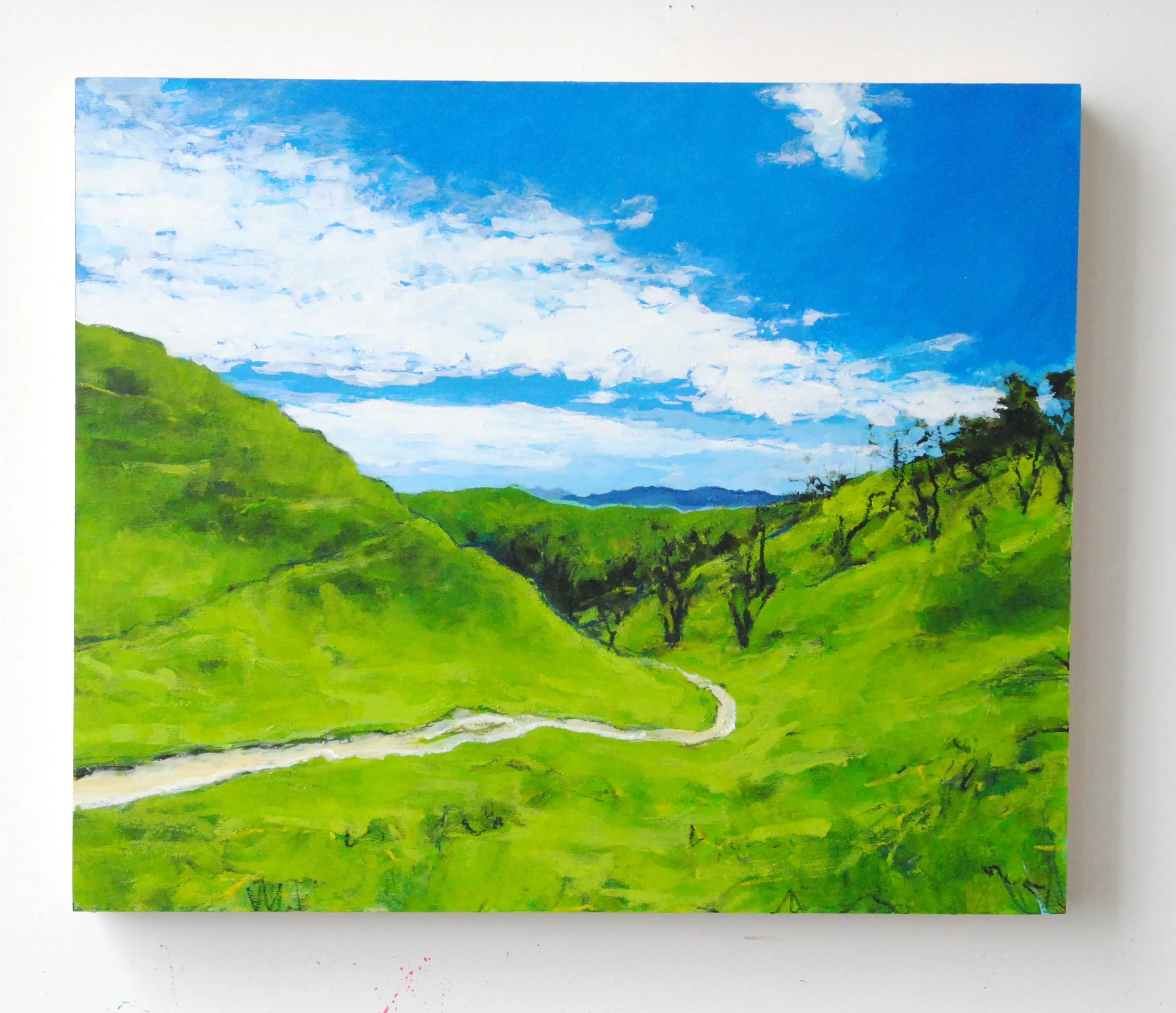 Spring Hillsides in Sycamore Valley.JPG