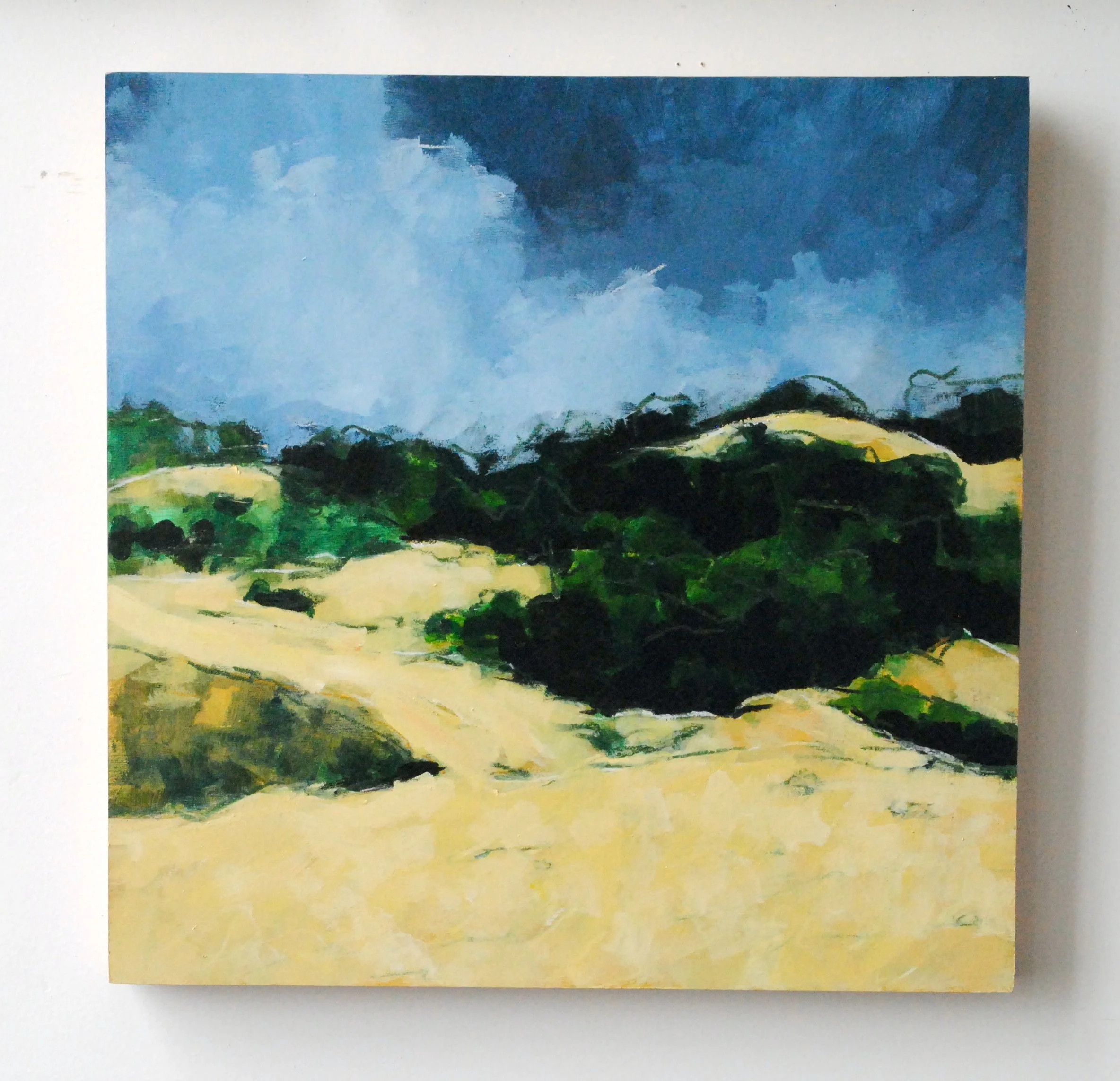 February in Russian Ridge.JPG