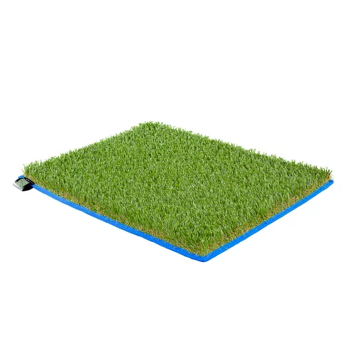 BLUE.jpg