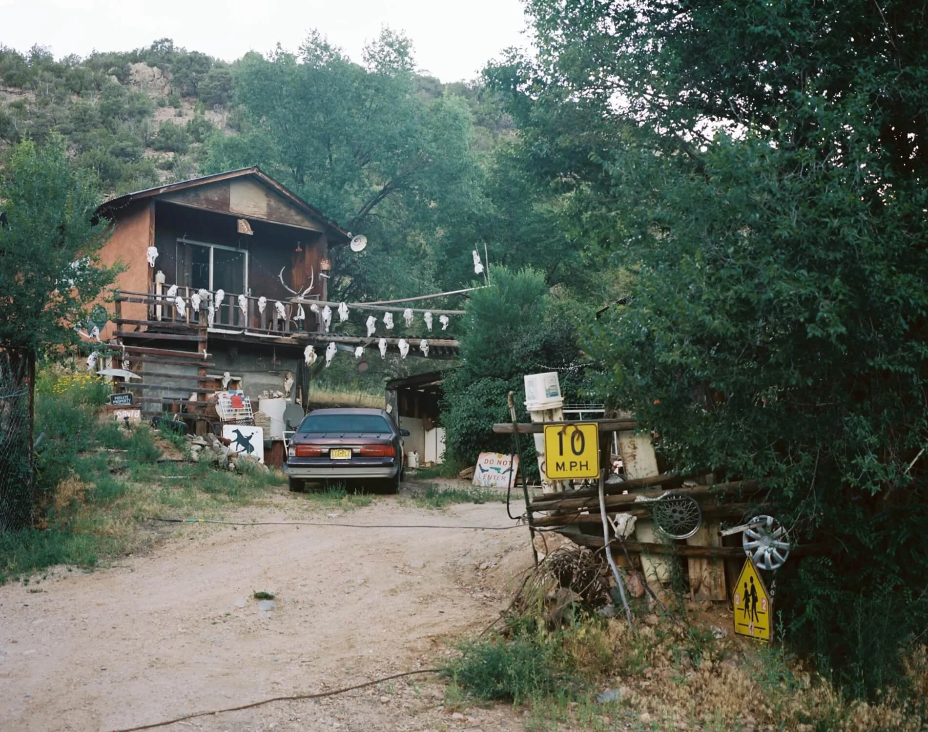 3390_A655551_006.jpg