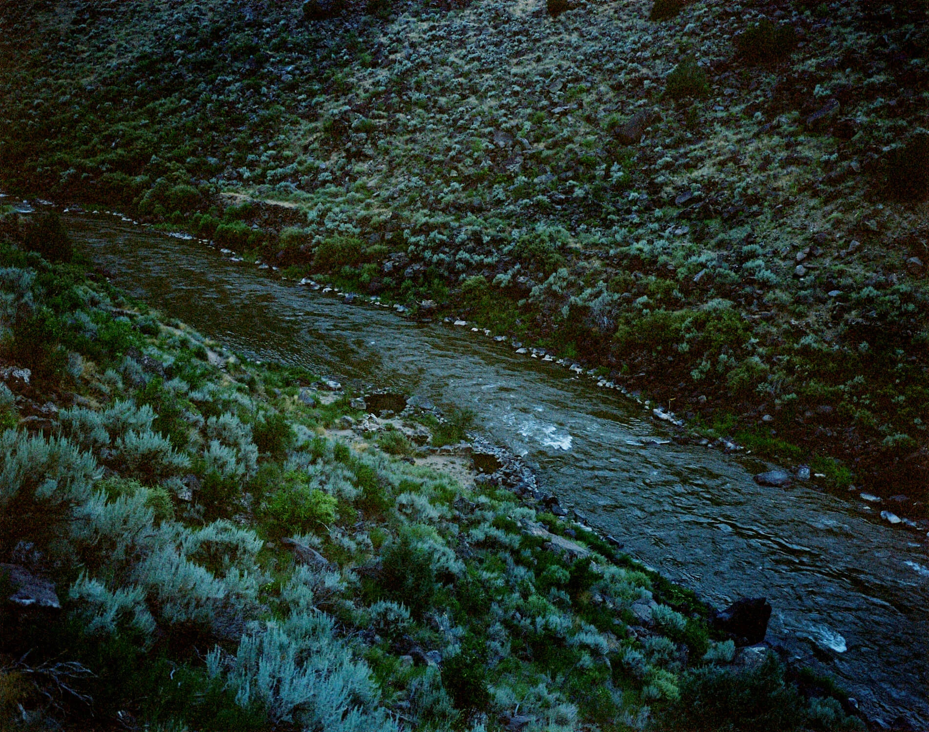 3391_A655553_005-2.jpg