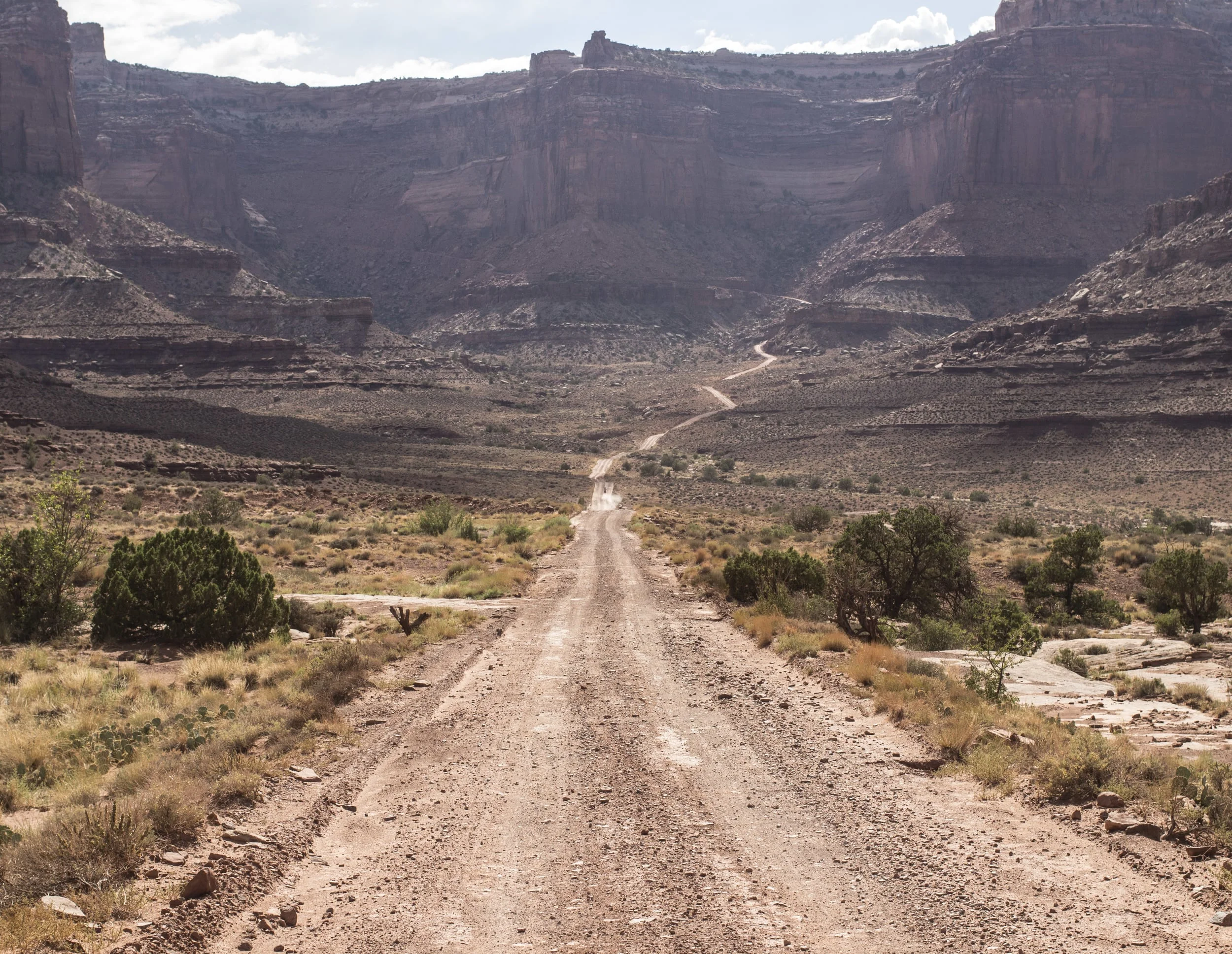 21_white_rim.jpg