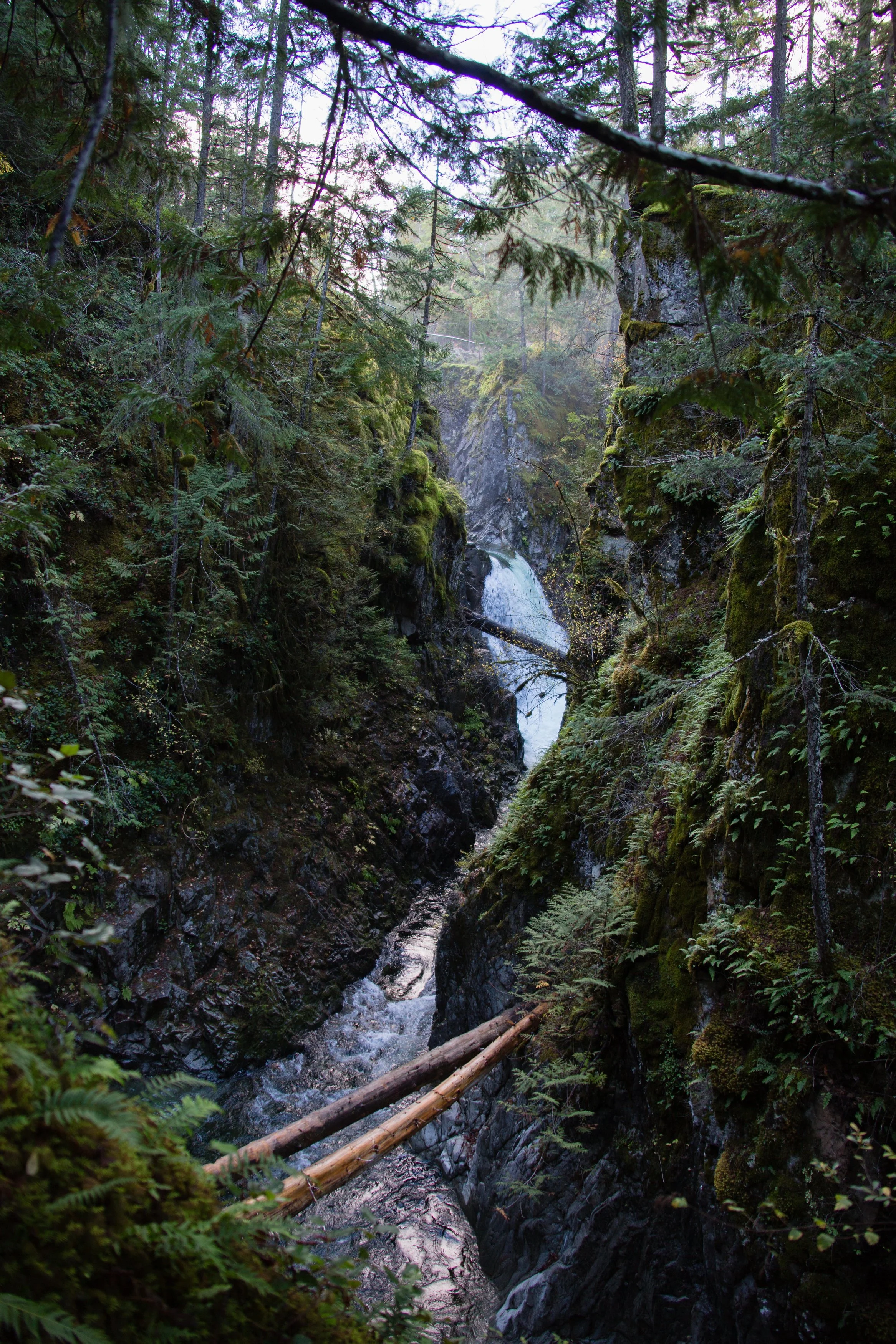 Vancouver_Island(53of330).jpg