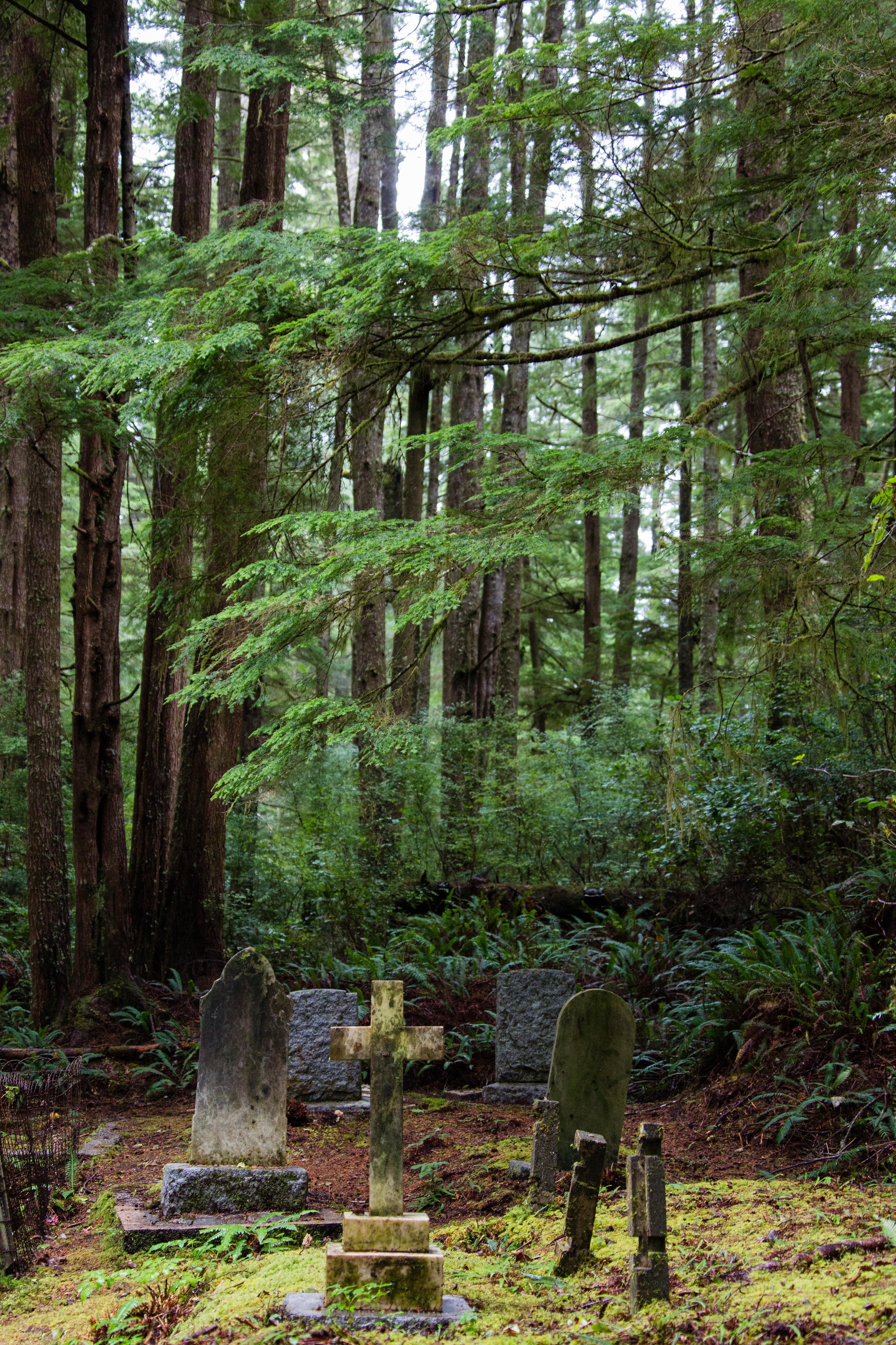 Vancouver_Island(192of330).jpg