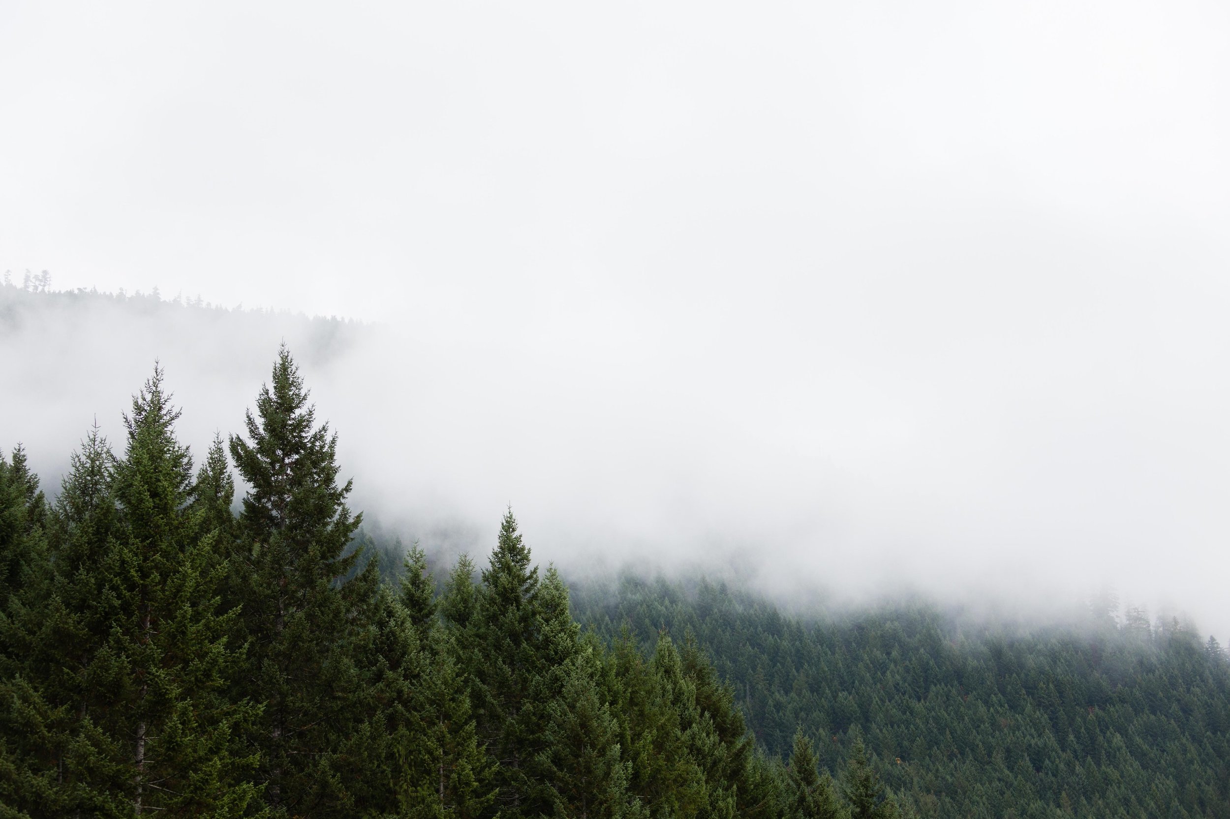 Vancouver_Island(307of330).jpg