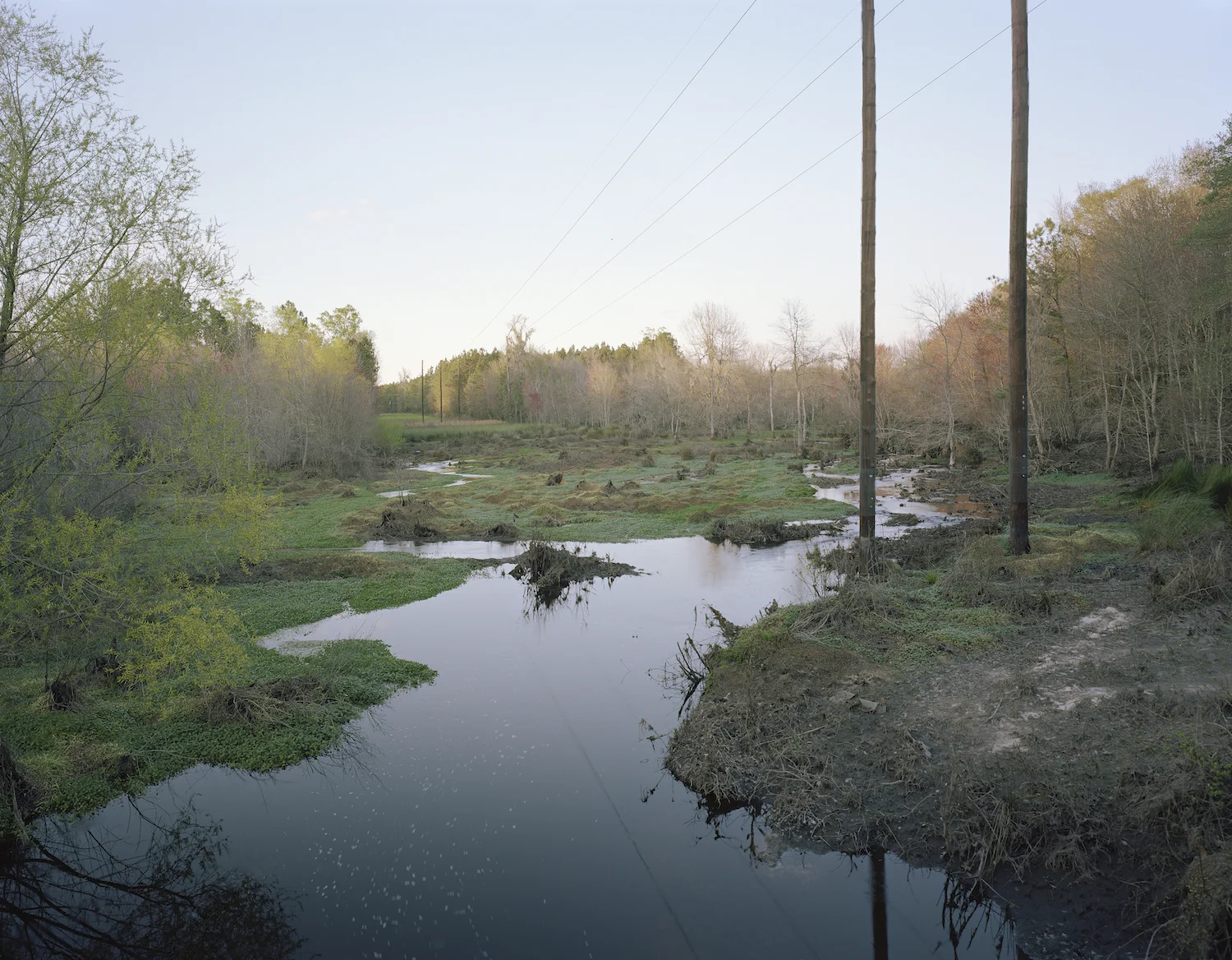 Stream just before King American Finishing Plant Screven County