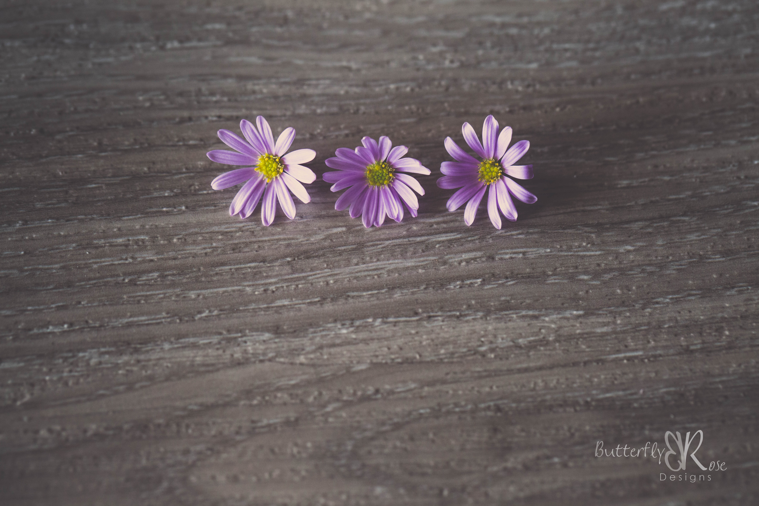 Canon 5D Mark III, Canon 100mm f/2.8L macro, f/5.6, 1/80 seconds, ISO 1600
