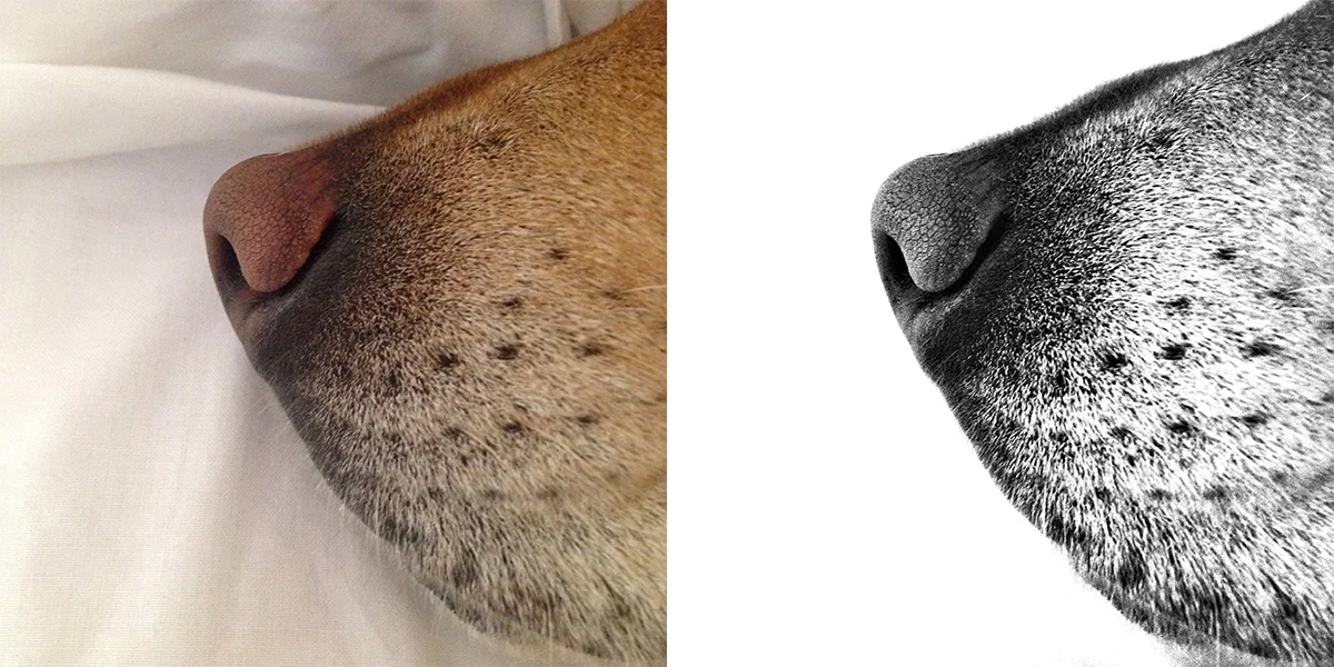 Before After 1.jpg