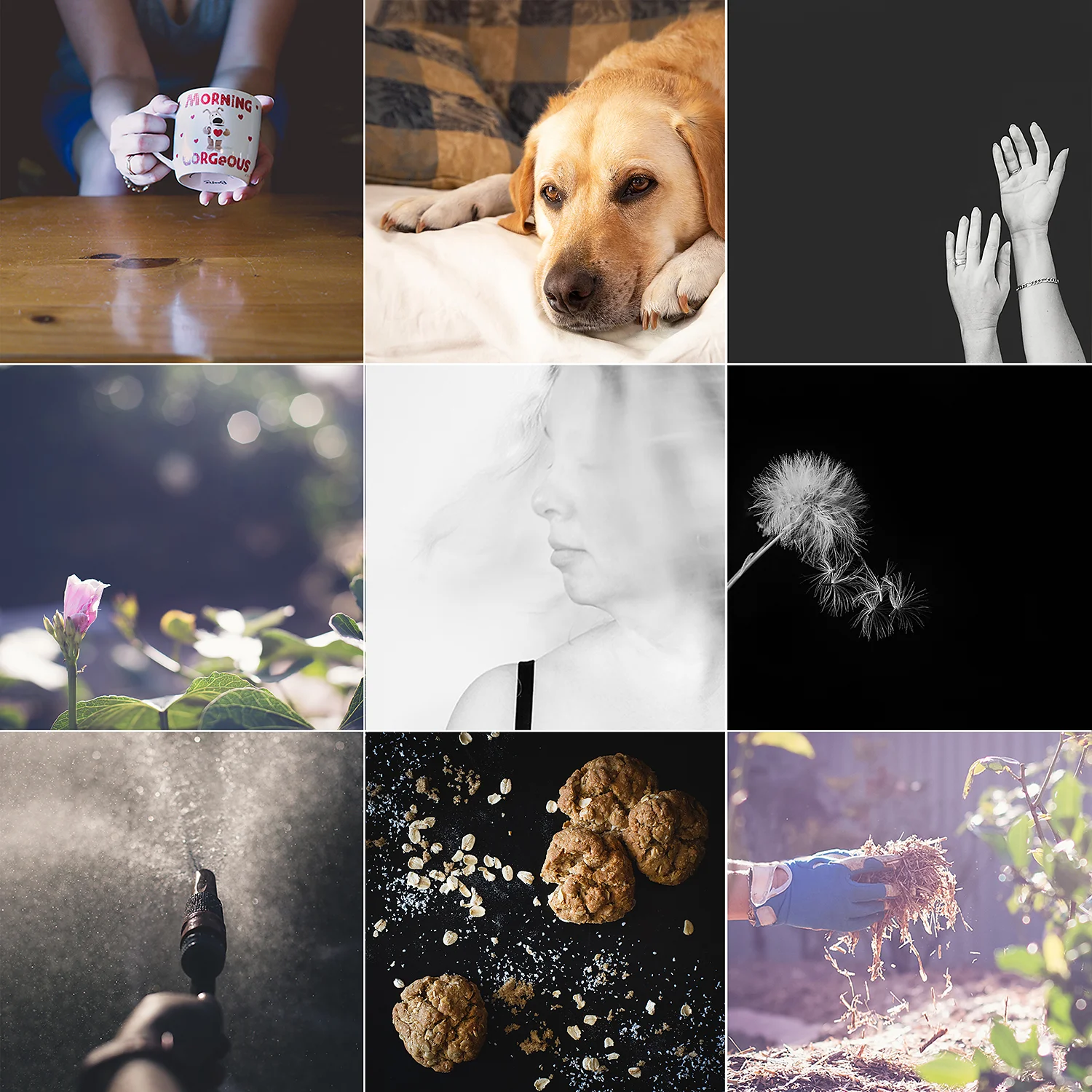 ButterflyRoseDesignsAprilTopNine.jpg