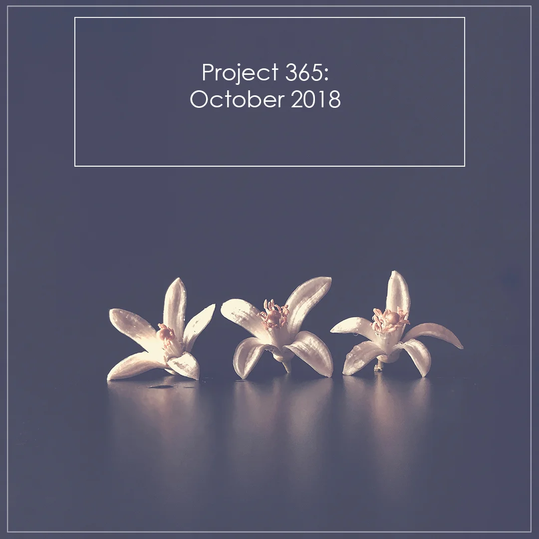 Blog Cover Photo Template Project 365 October.jpg