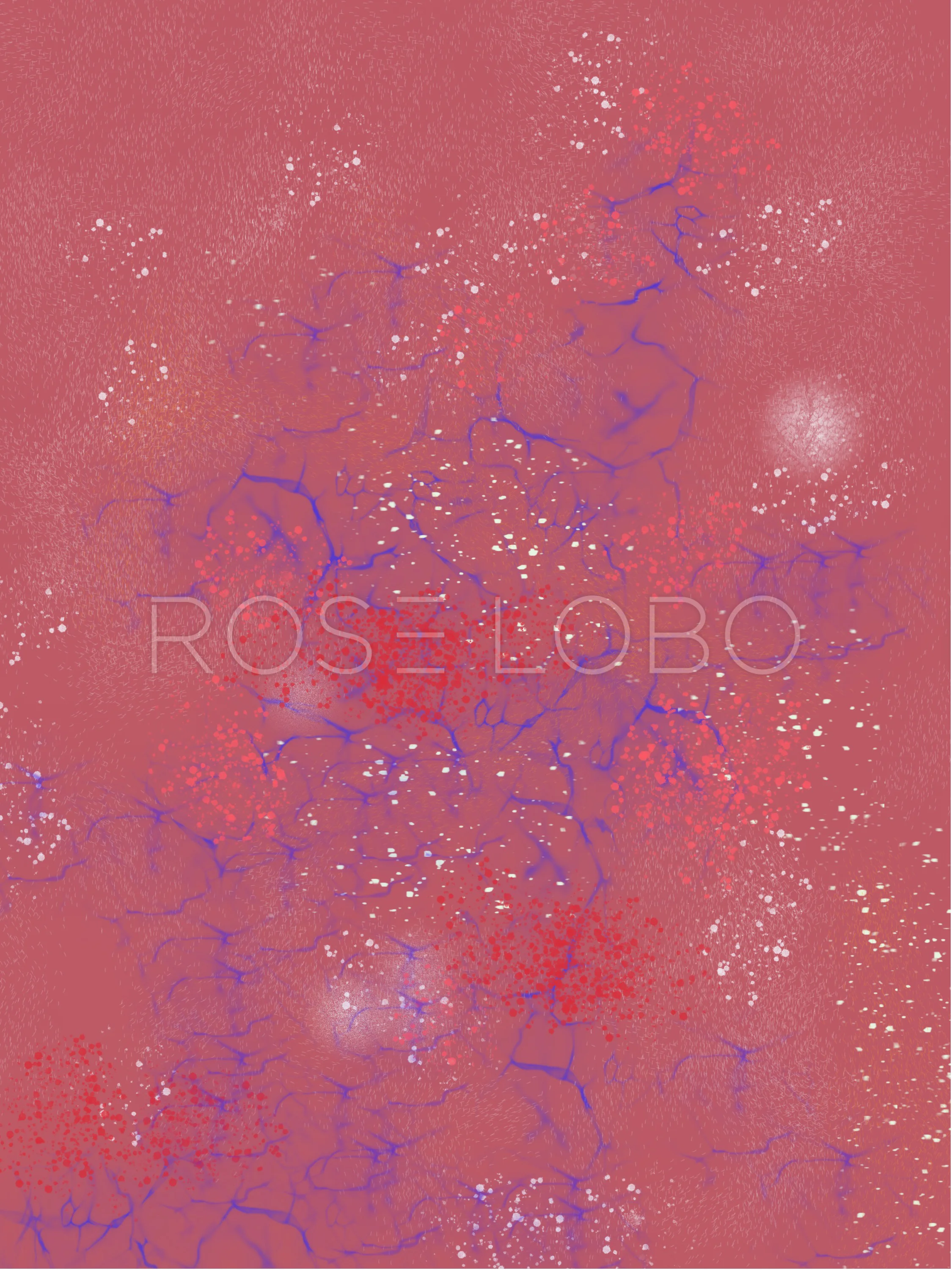 Stardust.jpg
