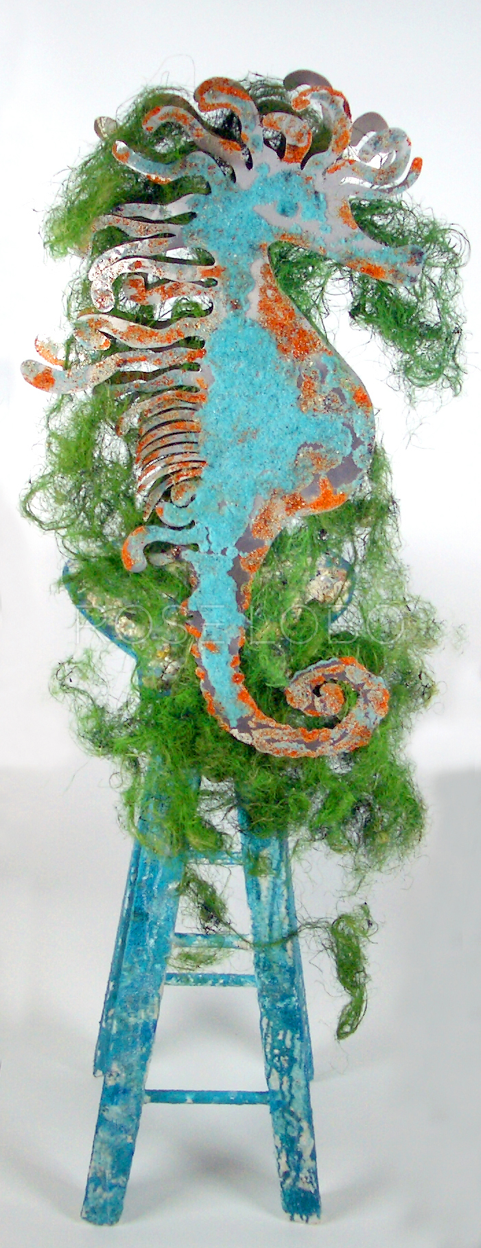 SEAHORSE