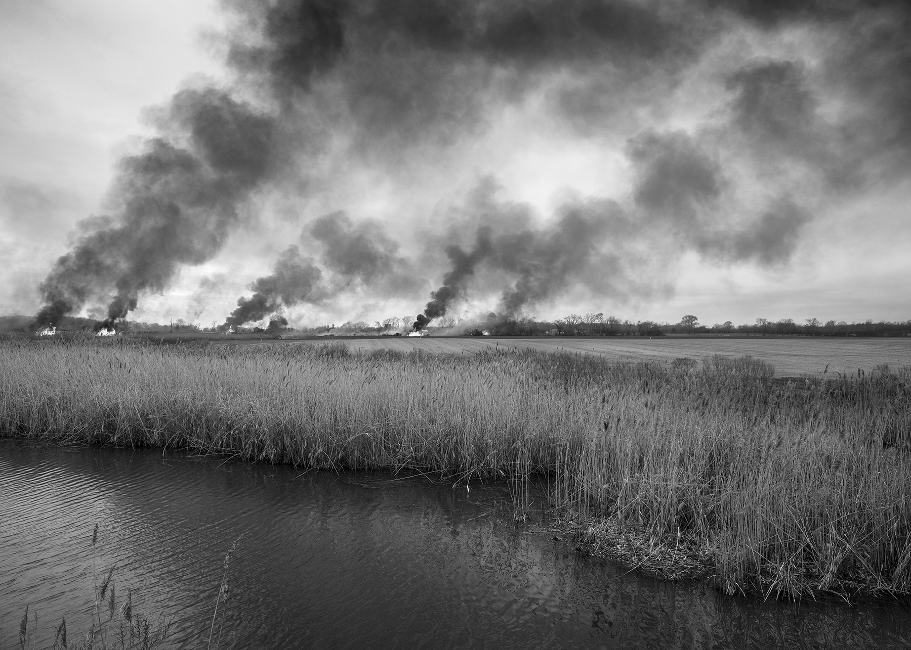 Controlled Burn, along Alloway Creek, New Bridge Road, Salem County New Jersey. 