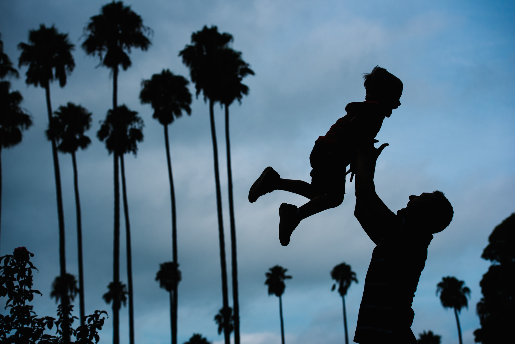 Silhouette of dad son palm trees