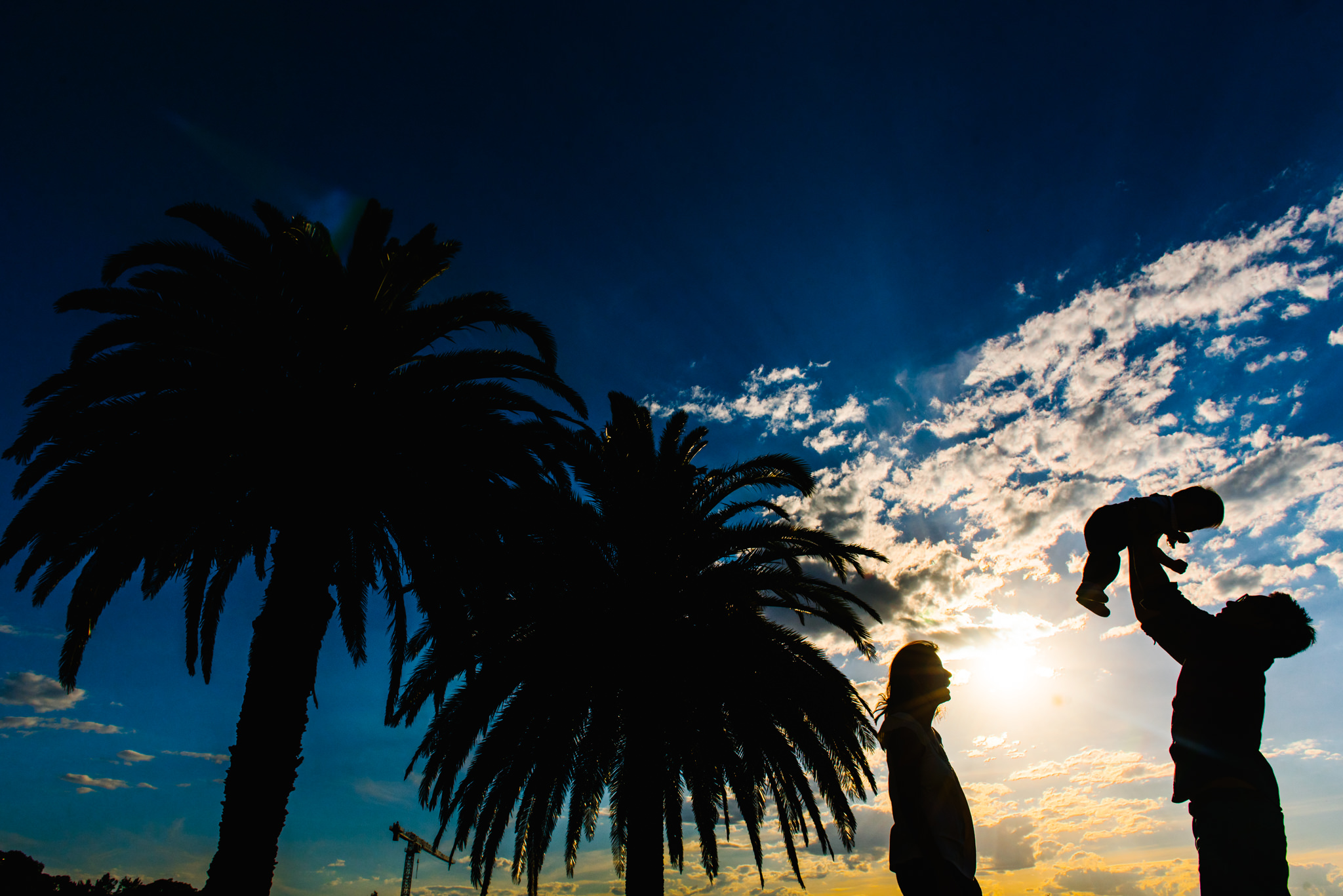 Palm tree and family silhouette