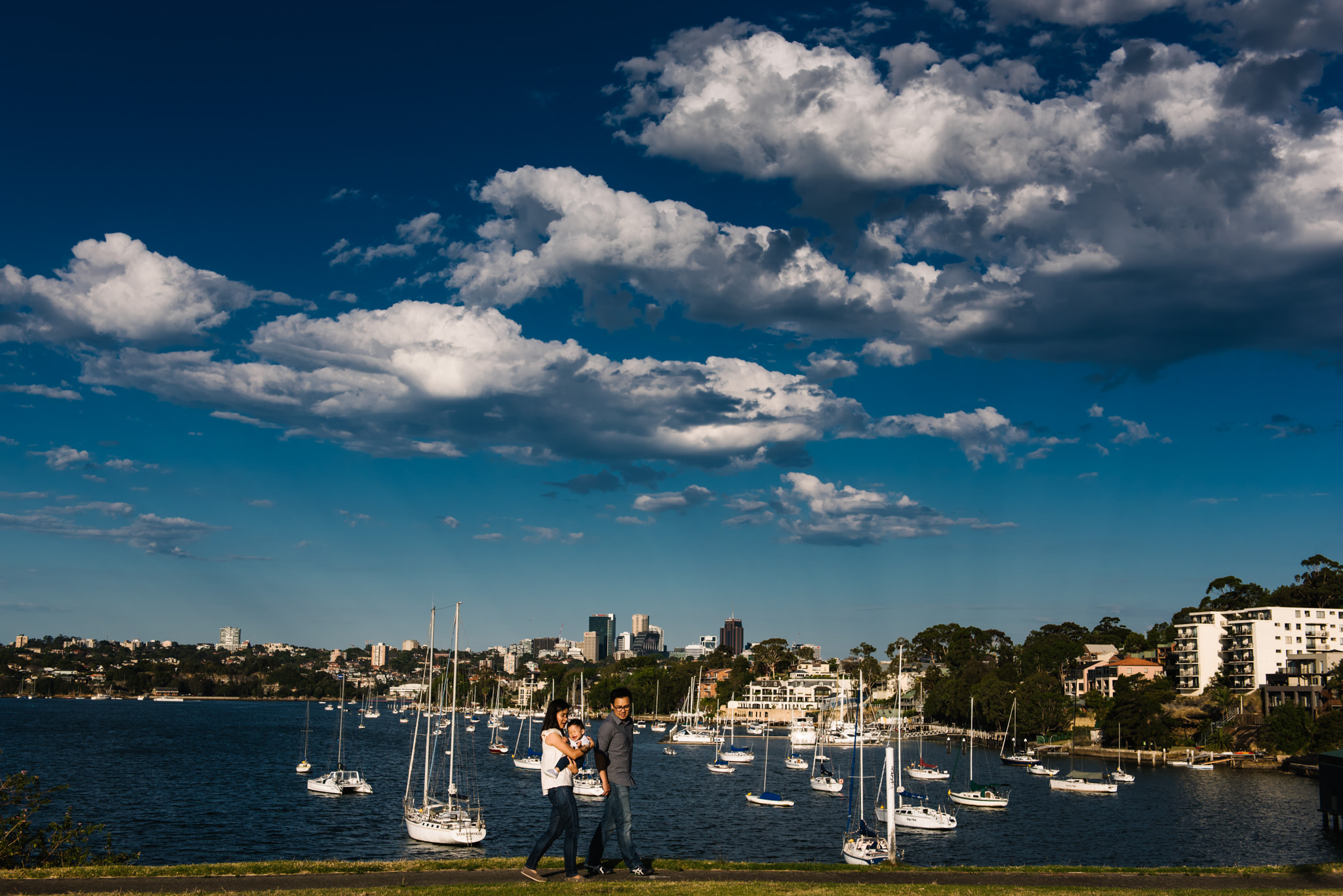 Sydney harbour view from Elkington Park