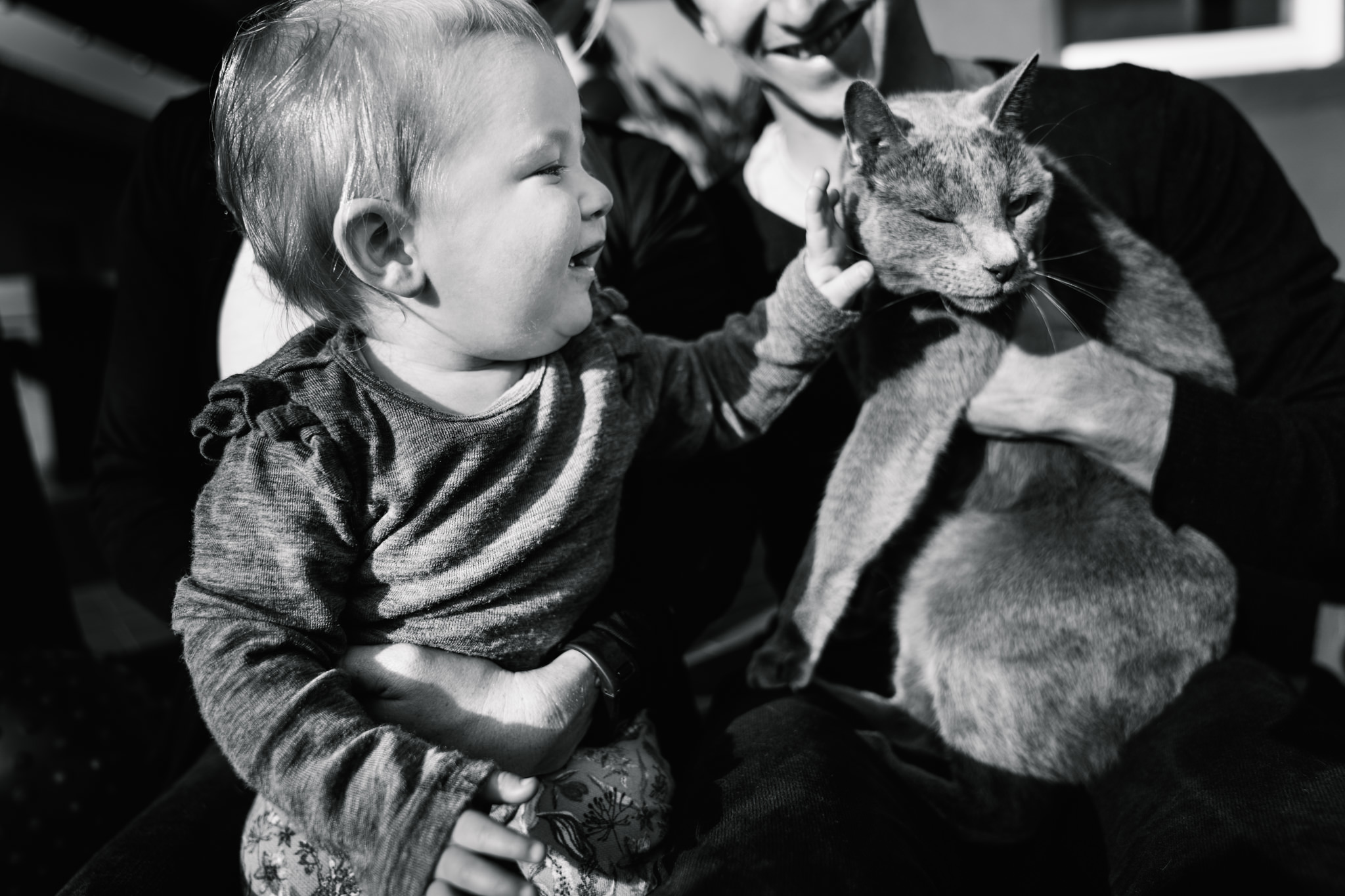 Baby girl patting a cat while it tries to get away