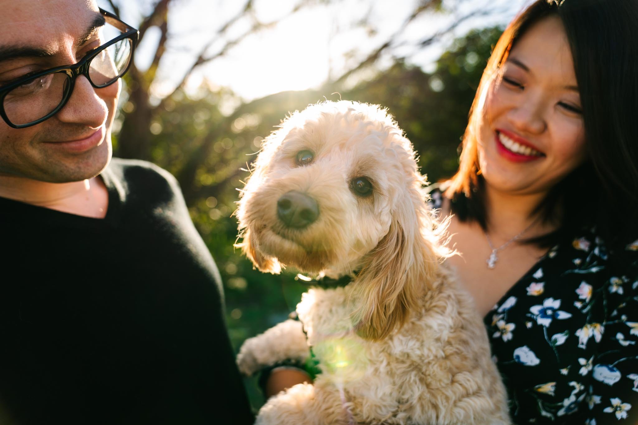 White Cavoodle being held by owners