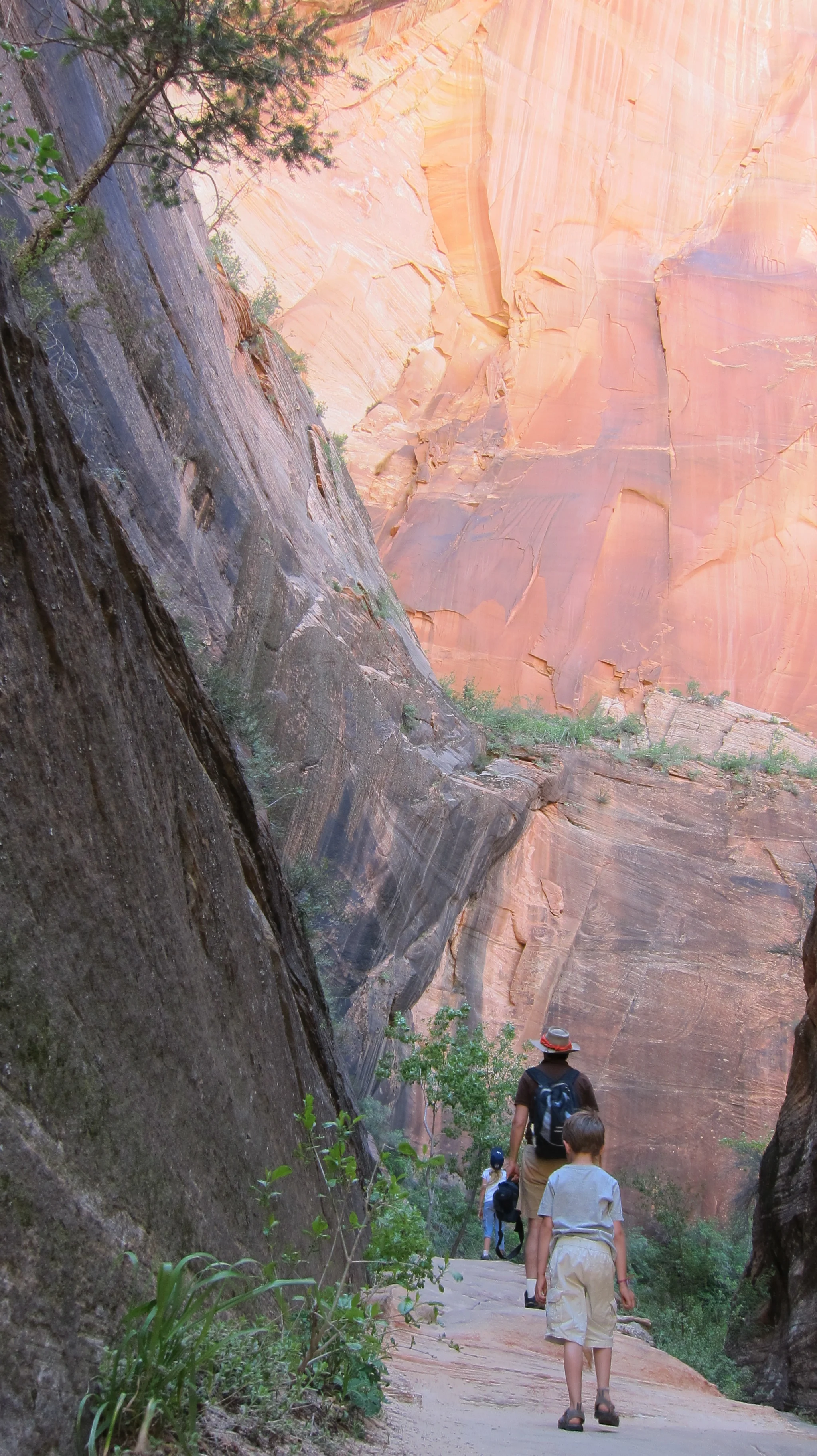 L.Watts, Zion