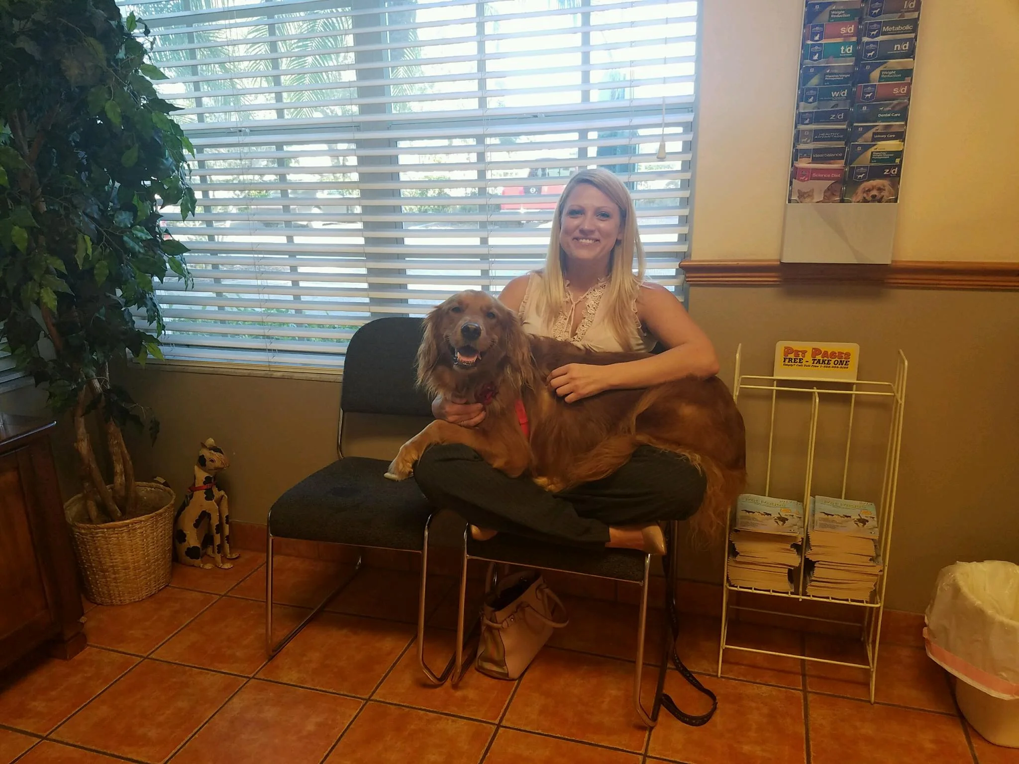 Luna, who is one of the participants in the Golden Retriever Lifetime study, sits in her owner's lap before her appointment.