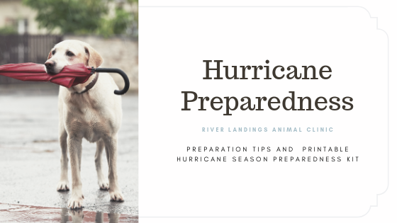 blog_Hurricane Season Preparedness_banner.png
