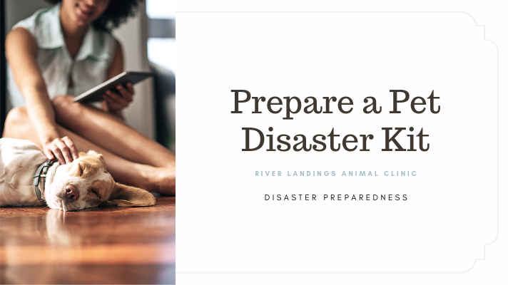 blog_ Prepare a Kit _banner.png