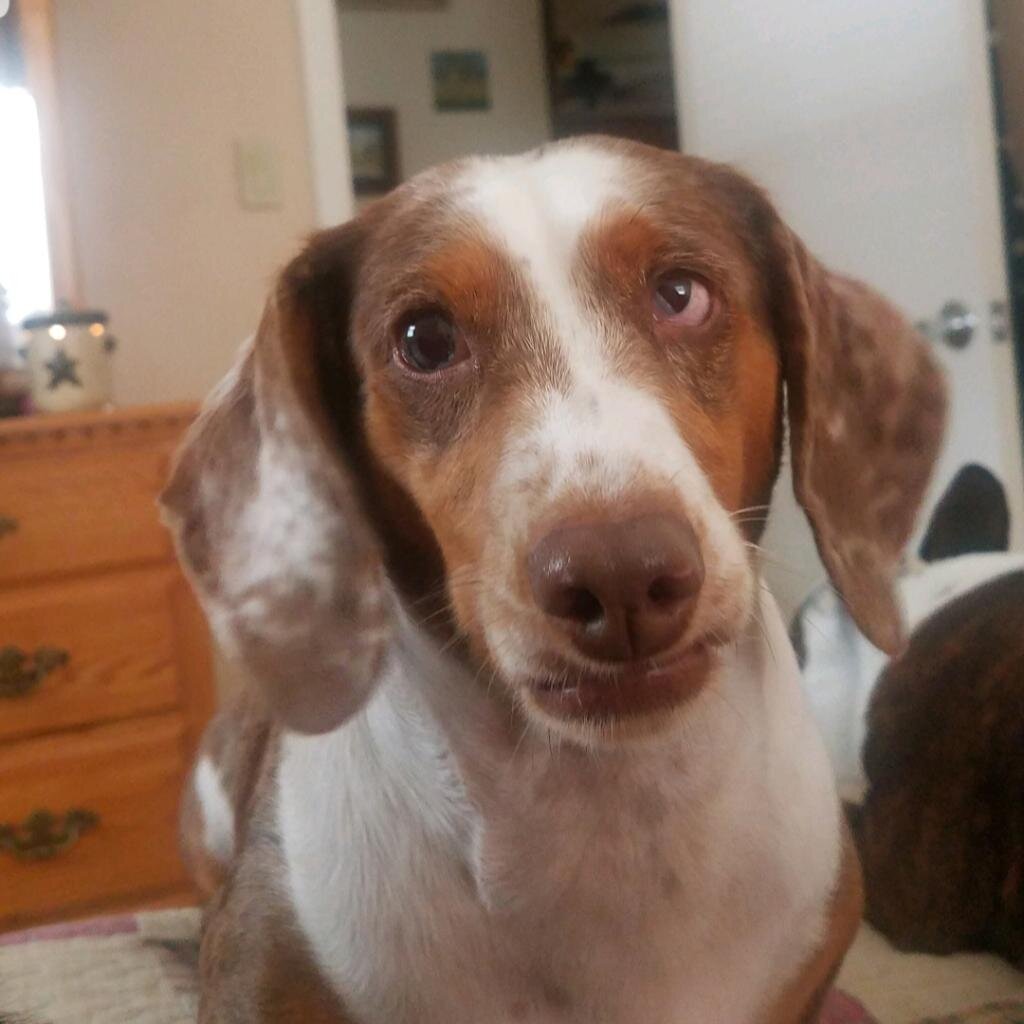 The sweetest face!