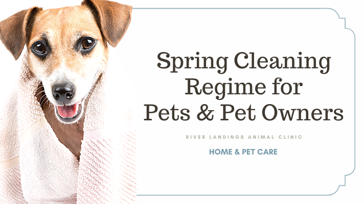 Spring Cleaning Tips for Pet Owners — River Landings Animal Clinic in  Bradenton, Florida