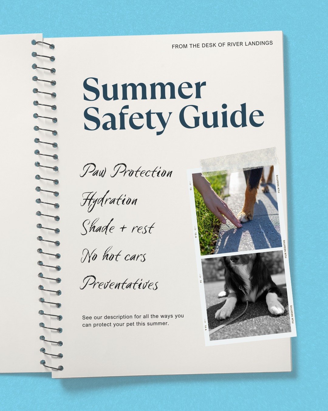 Tomorrow is the first day of summer and the Florida sunshine is no joke, especially for our pets. As temps climb, here&rsquo;s your foolproof checklist to a safe summer:

🐾 Paw protection: Hot pavement = burned paws
💧 Hydration station: Always carr
