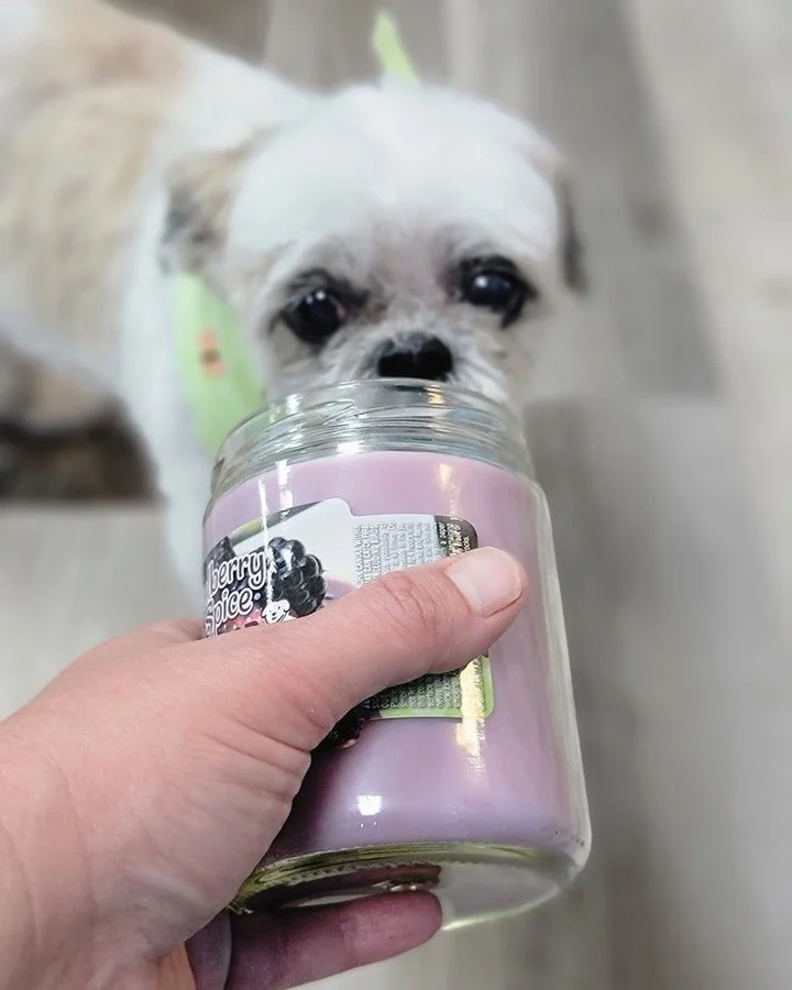 ☀️ Summer Scents Sale &ndash; 20% Off! ☀️

Keep the summer vibes alive! Our gardenia, honeysuckle, and other summer Pet Odor Exterminator Candles will fill your home with the feeling of endless summer evenings. 

(Shh, don't tell anyone but we also h