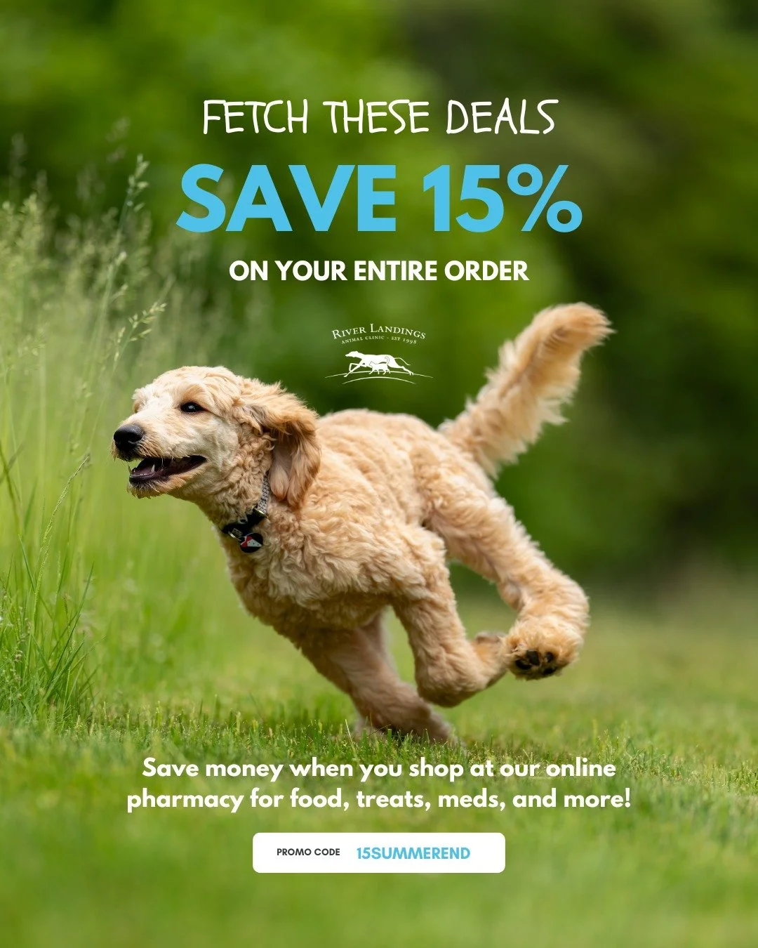 Stock up on food, treats, preventatives, and more.all from the comfort of home! 🛒

💻 Save 15% on your entire order when you shop through our online pharmacy.

Just use the promo code below:
💙 Use code: 15SUMMEREND
It&rsquo;s the purr-fect time to 