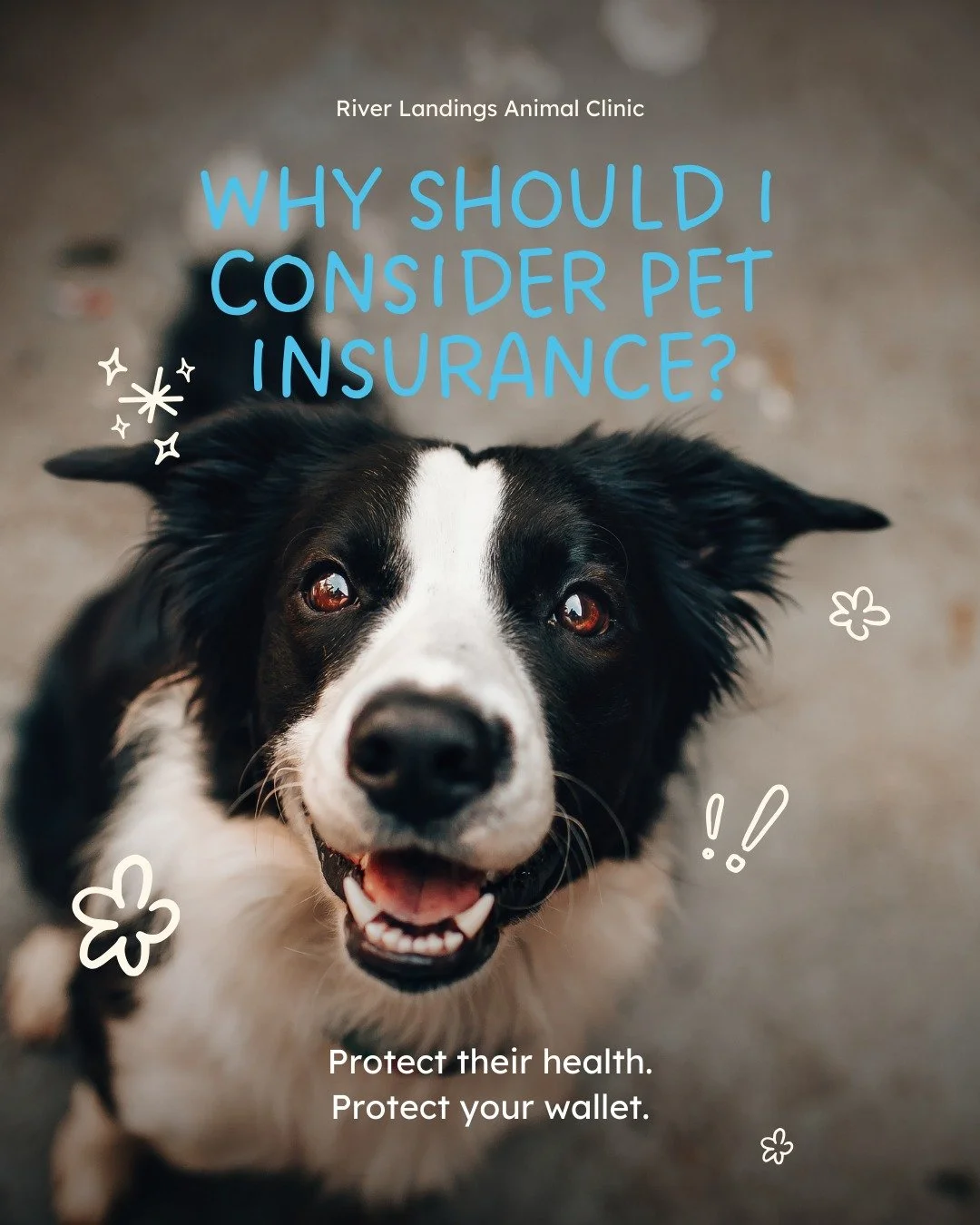 Emergencies happen, but with the right plan you can focus on care, not cost. 

At River Landings, we recommend Pumpkin Insurance for their local reps, fast payouts, and pet-first approach (our staff uses it too!).

September is National Pet Insurance
