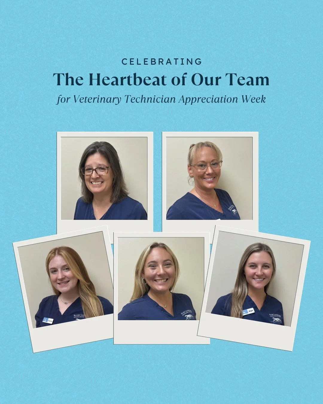 It&rsquo;s Veterinary Technician Appreciation Week 🩺🐾

This week (and every week) we&rsquo;re celebrating the compassionate, skilled, and tireless vet techs who make everything we do possible. From comforting nervous pets to assisting in procedures
