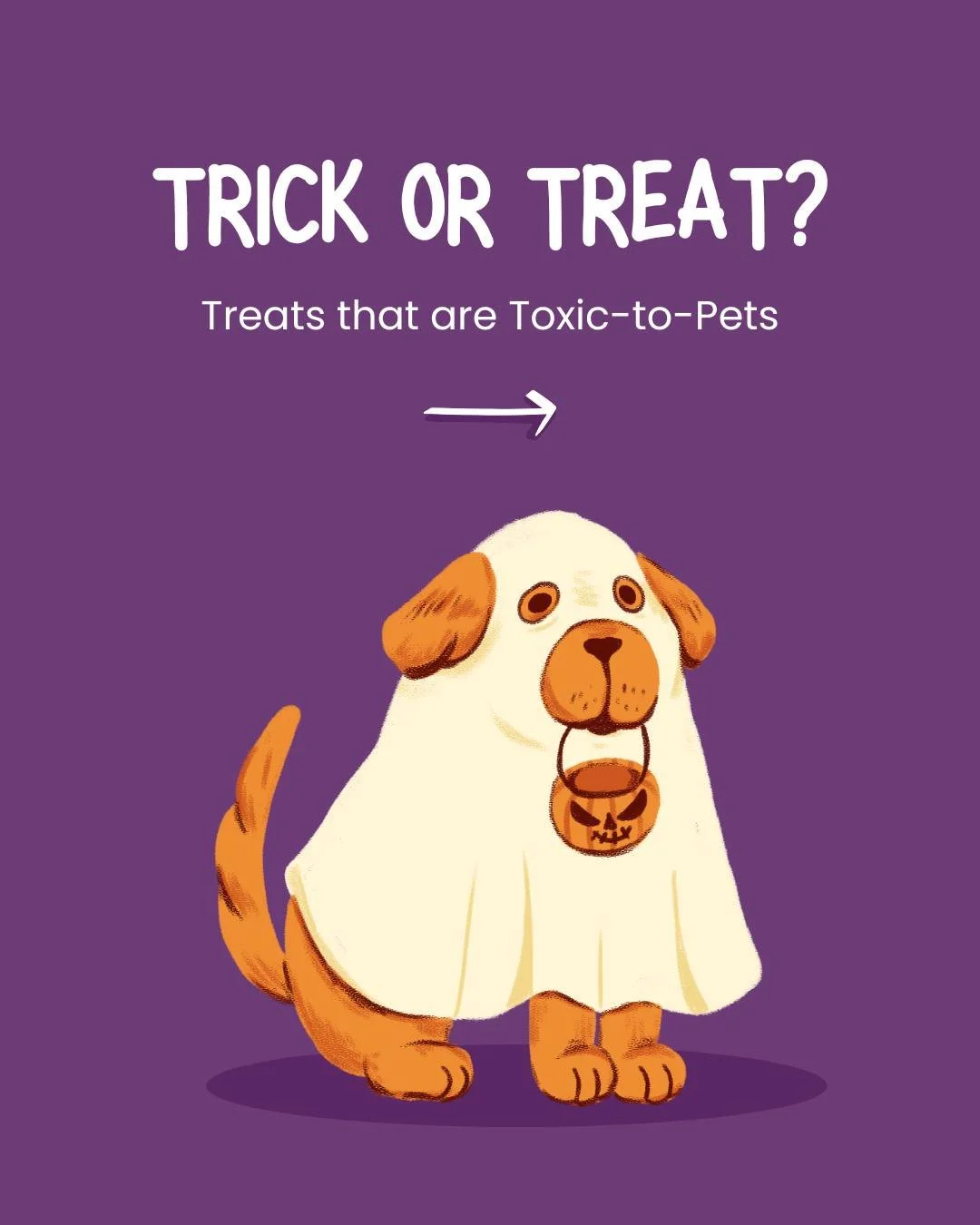 With Halloween around the corner, here are a few toxic-to-pets &quot;treats&quot; that pets should avoid.

If your pet accidentally eats something questionable:
Don&rsquo;t wait for symptoms and call your vet immediately.
Or contact ASPCA Animal Pois