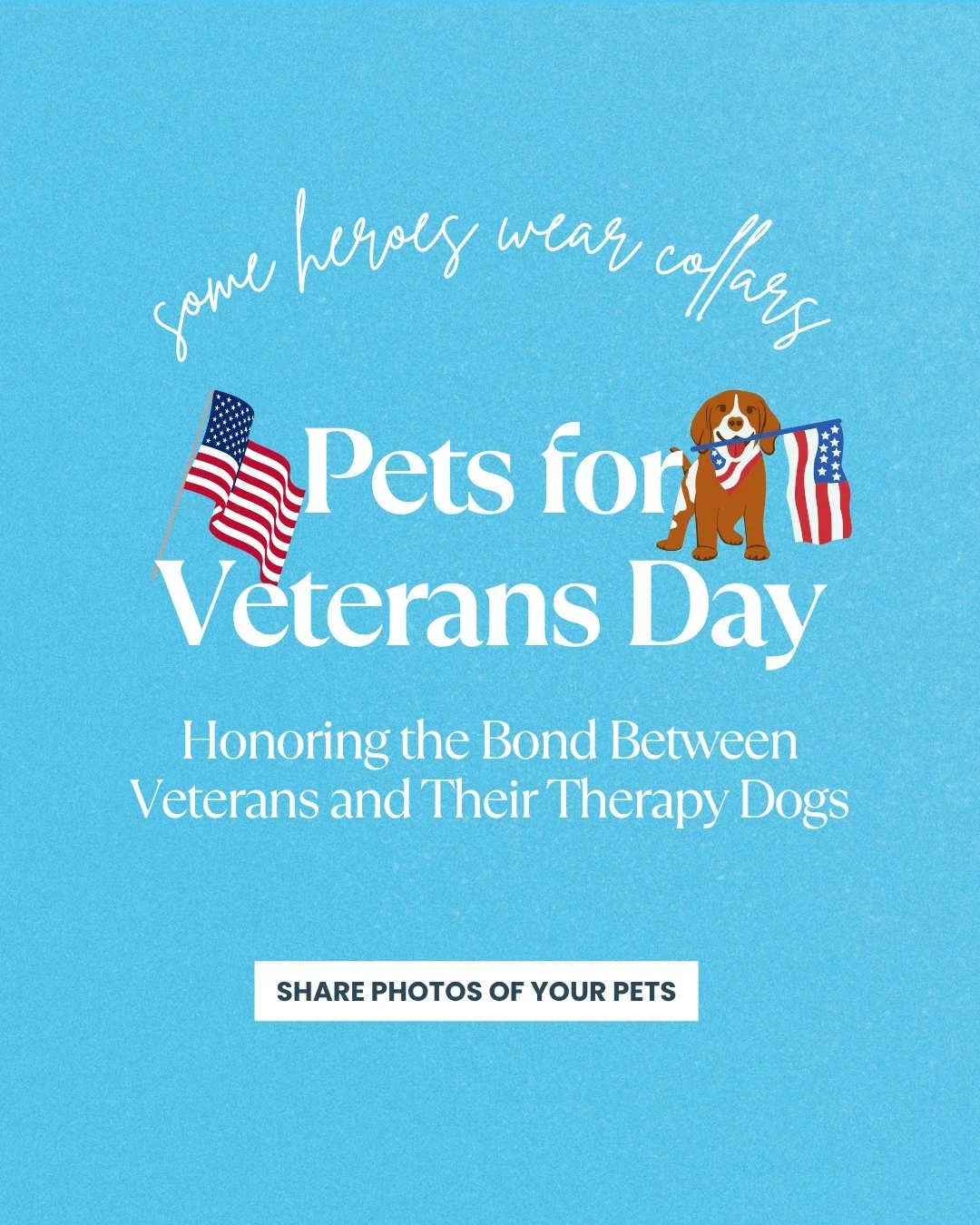 National Pets for Veterans Day 🐾🇺🇸 Some heroes wear collars.

For many Veterans, the battle doesn&rsquo;t end when the uniform comes off. PTSD, depression, and grief often follow them home, but healing can begin with four paws and unconditional lo