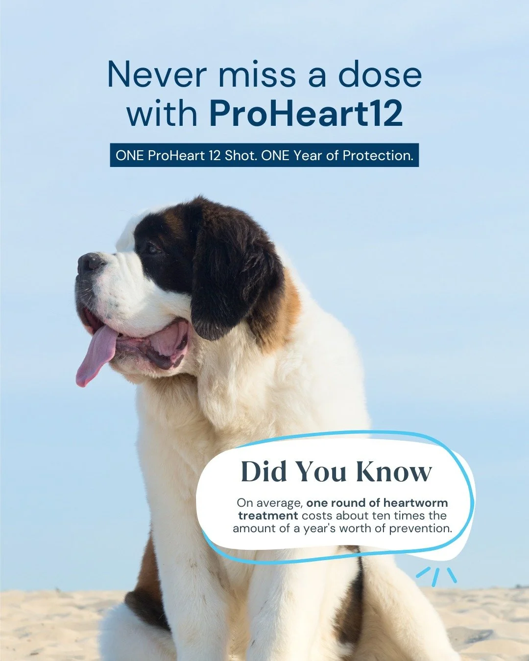 Say goodbye to monthly heartworm pills. ProHeart 12 provides 12 months of continuous protection in a single vet-administered injection. That means no missed doses, no stress, and no gaps in coverage.

We recommend ProHeart 12 for dogs who:
✅ Need con