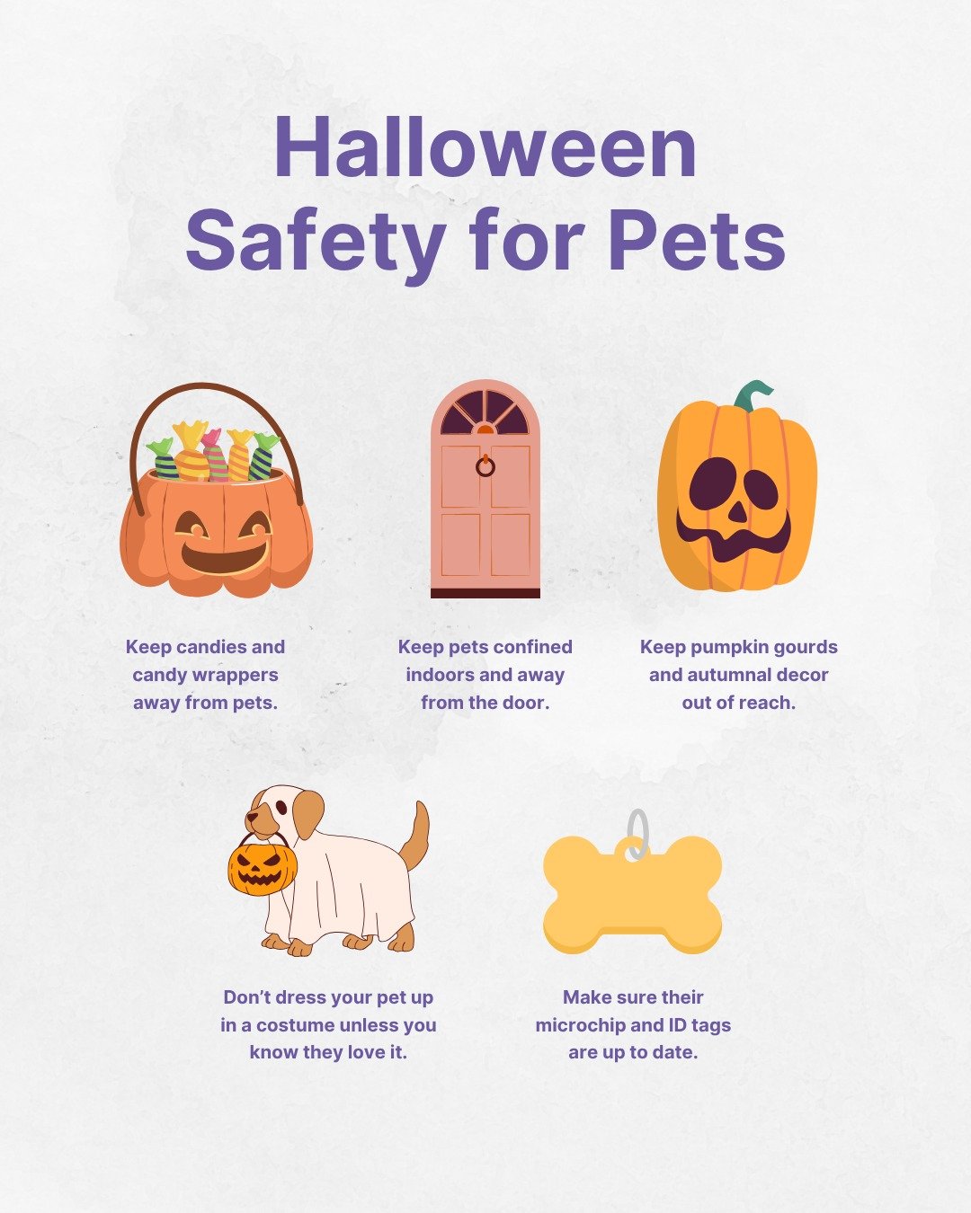 Keep your pets safe and stress-free this Halloween with a few simple tips:

🍬 Keep candy (and wrappers!) out of reach (toxic ingredients! foreign objects!)
🚪 Keep pets indoors and away from the door (escape artists!)
🎃 Watch out for toxic or tempt
