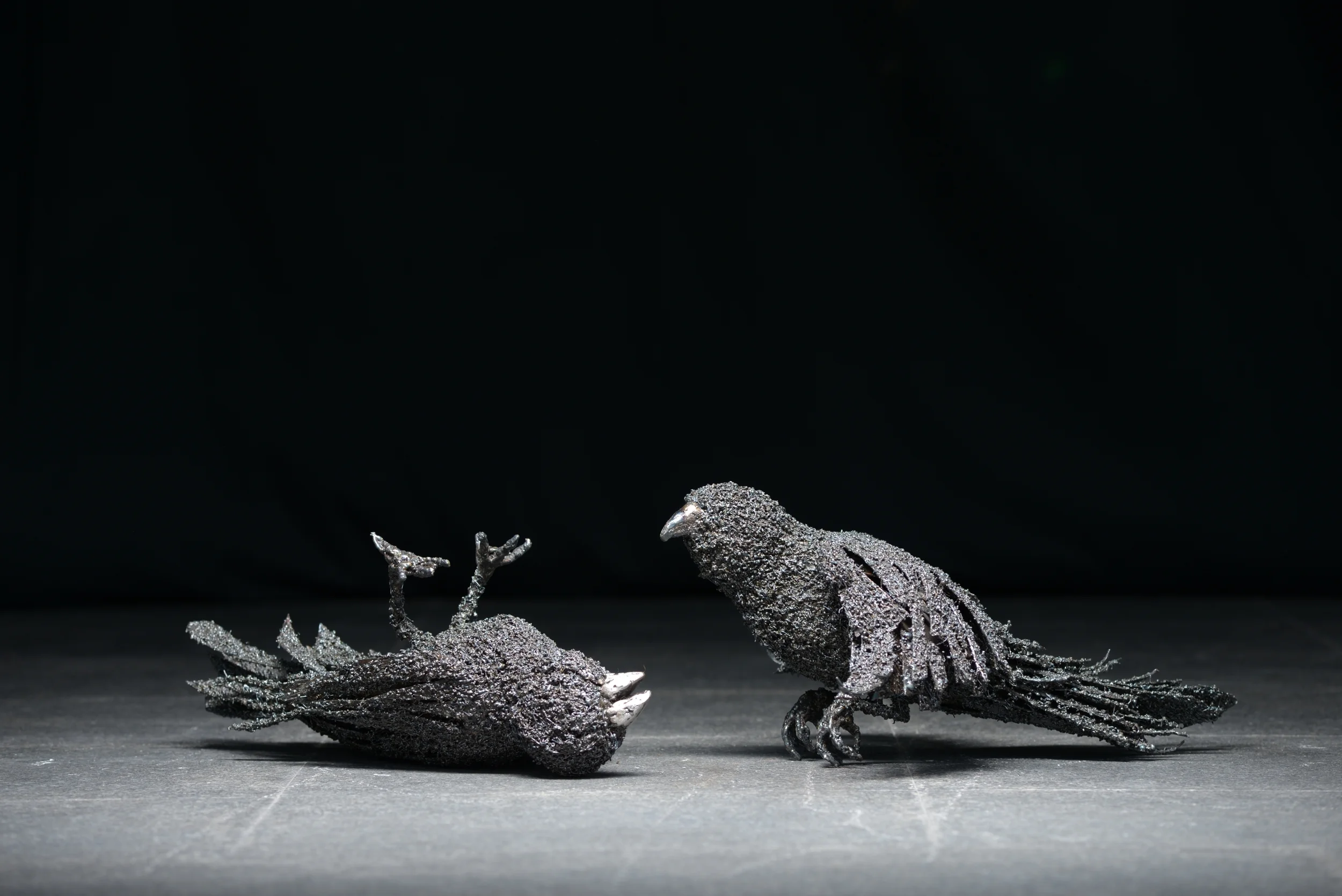 Nancy J Cutler - Birds