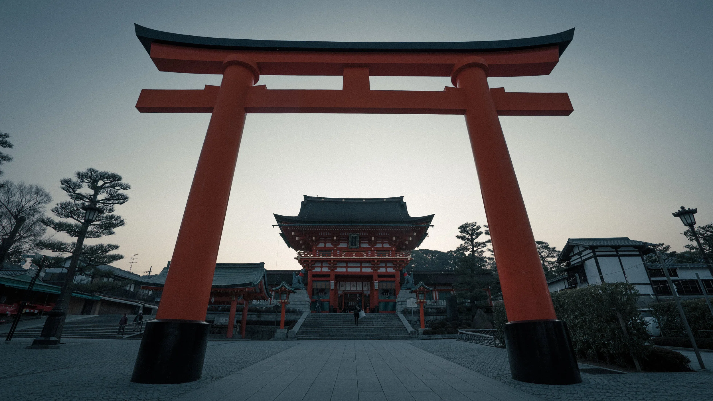 LR EDIT-05098-2.jpg