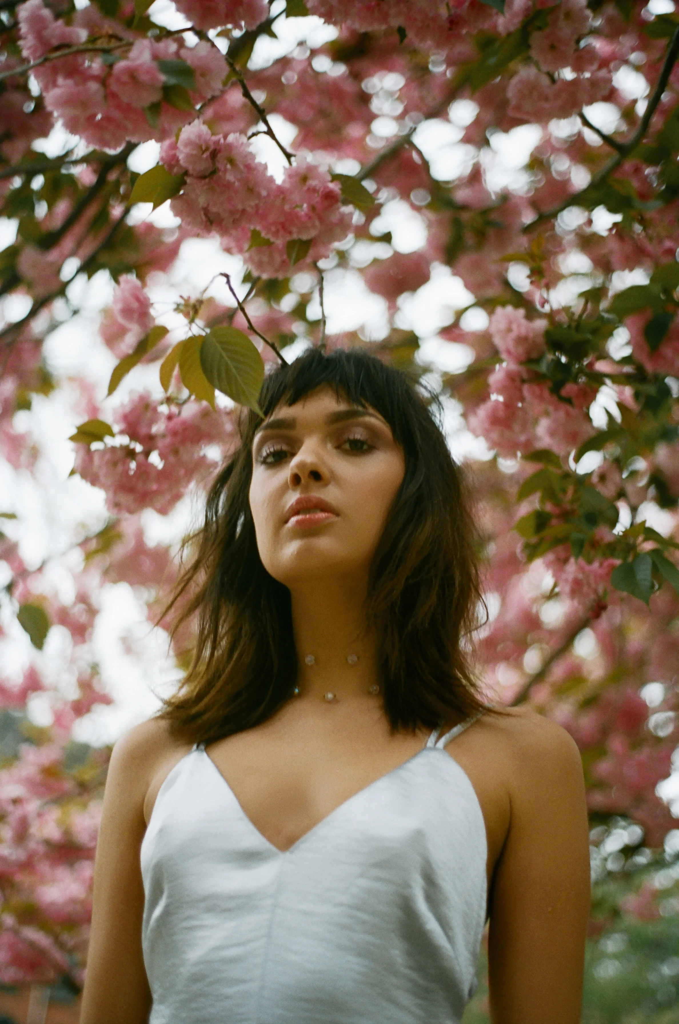 Jazmine35mmfilm04.jpg