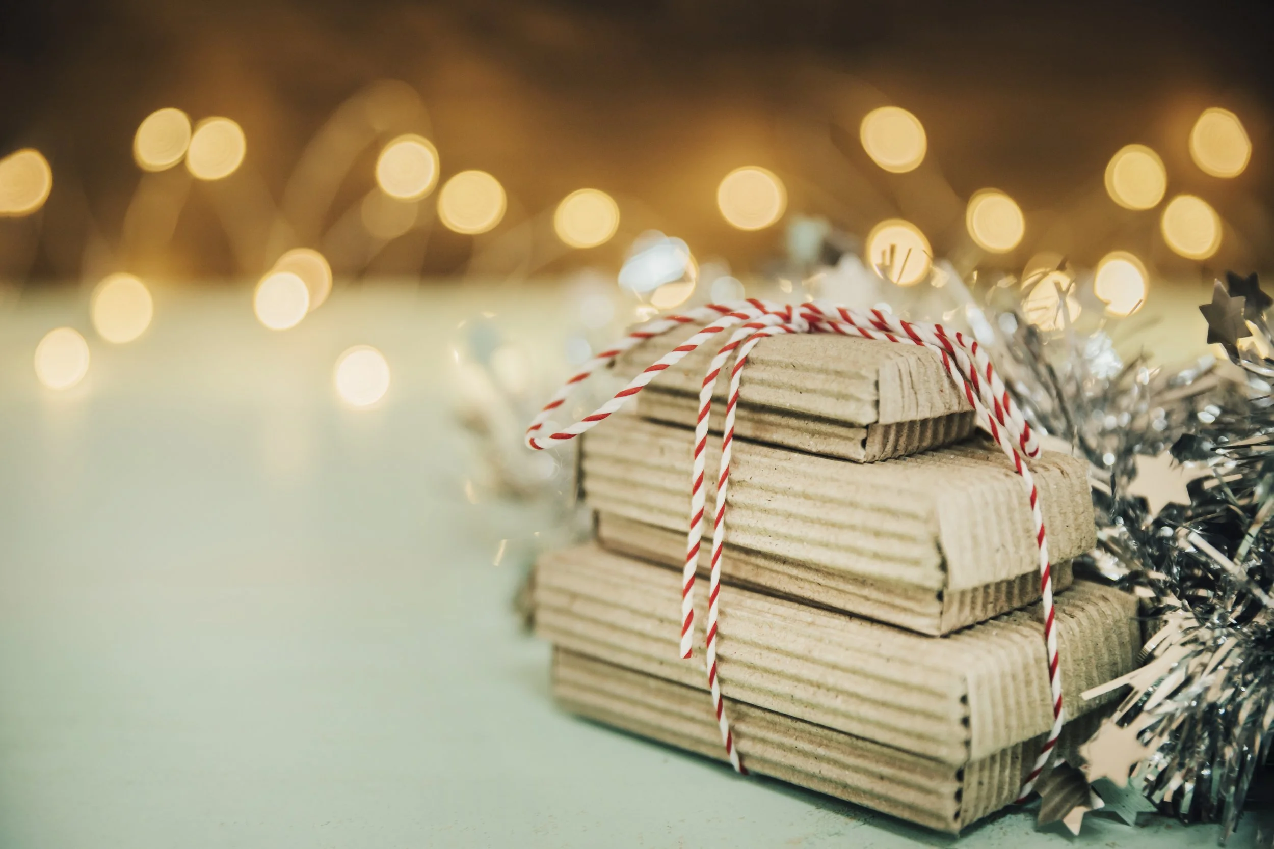 Parent-Child Book Club Holiday Party Ideas