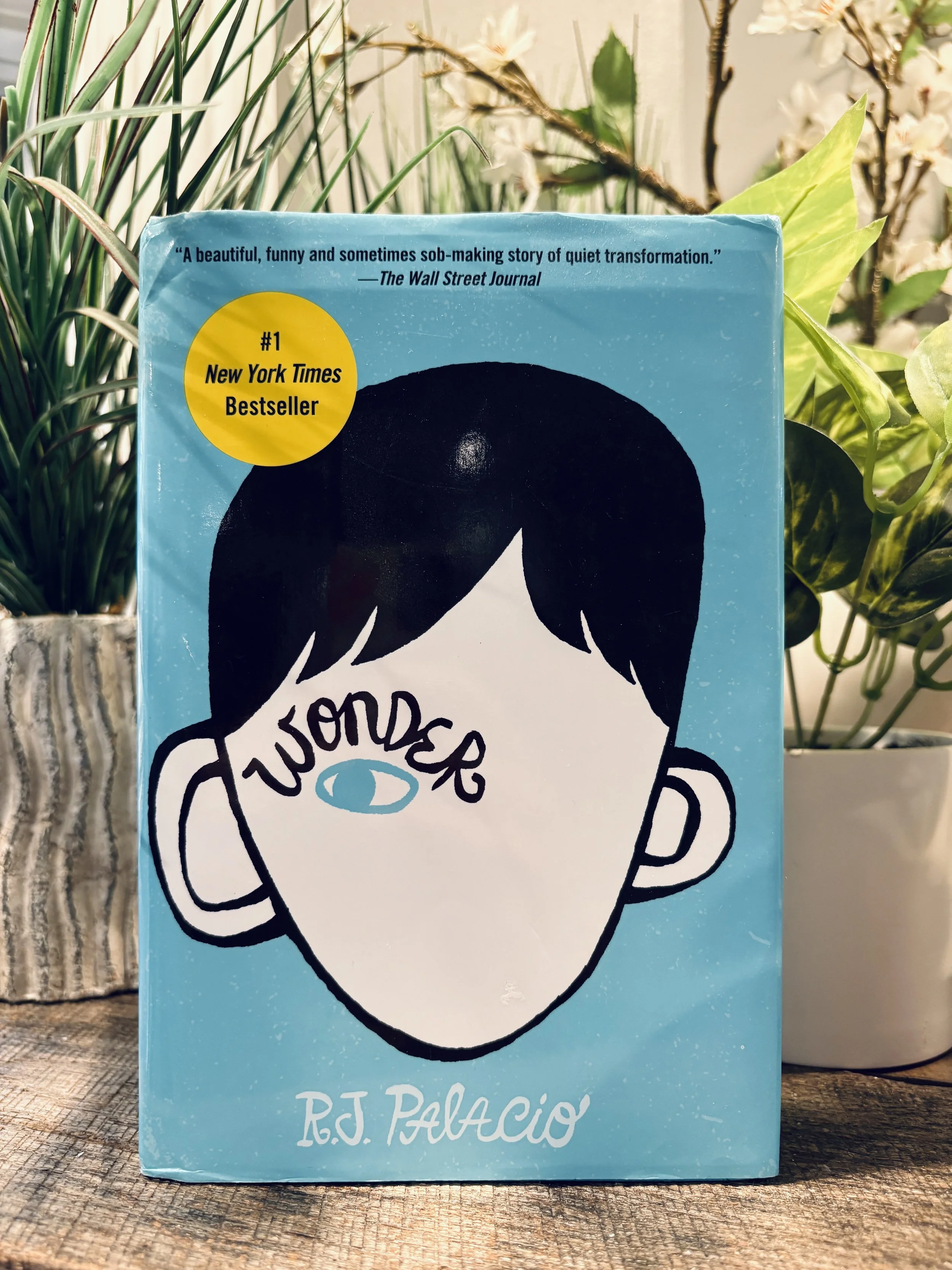 Sneak Peek: Wonder by R. J. Palacio