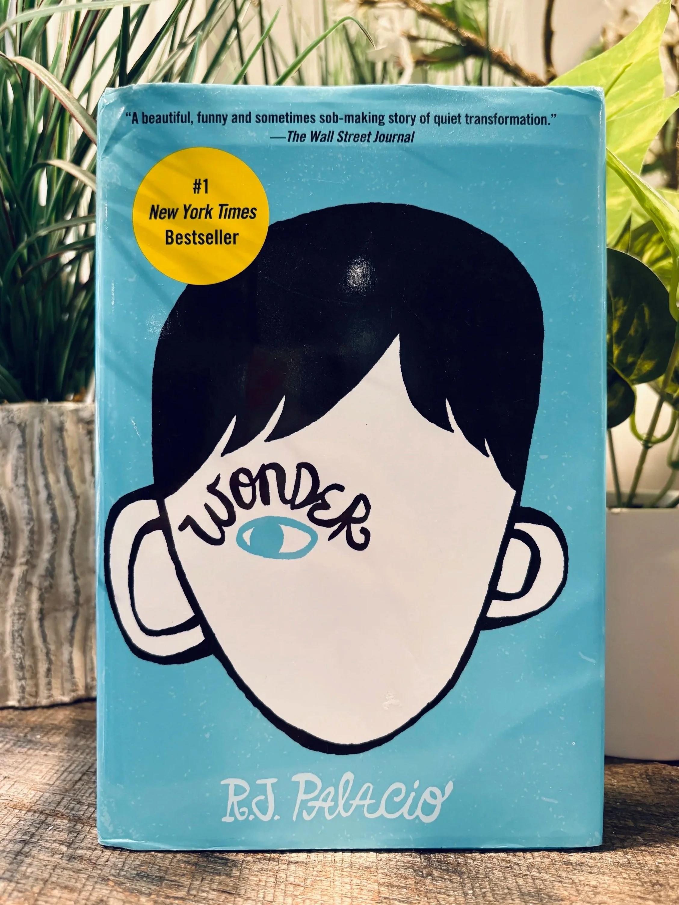 Stefanie Hohl - Blog - Sneak Peek: Wonder by R. J. Palacio