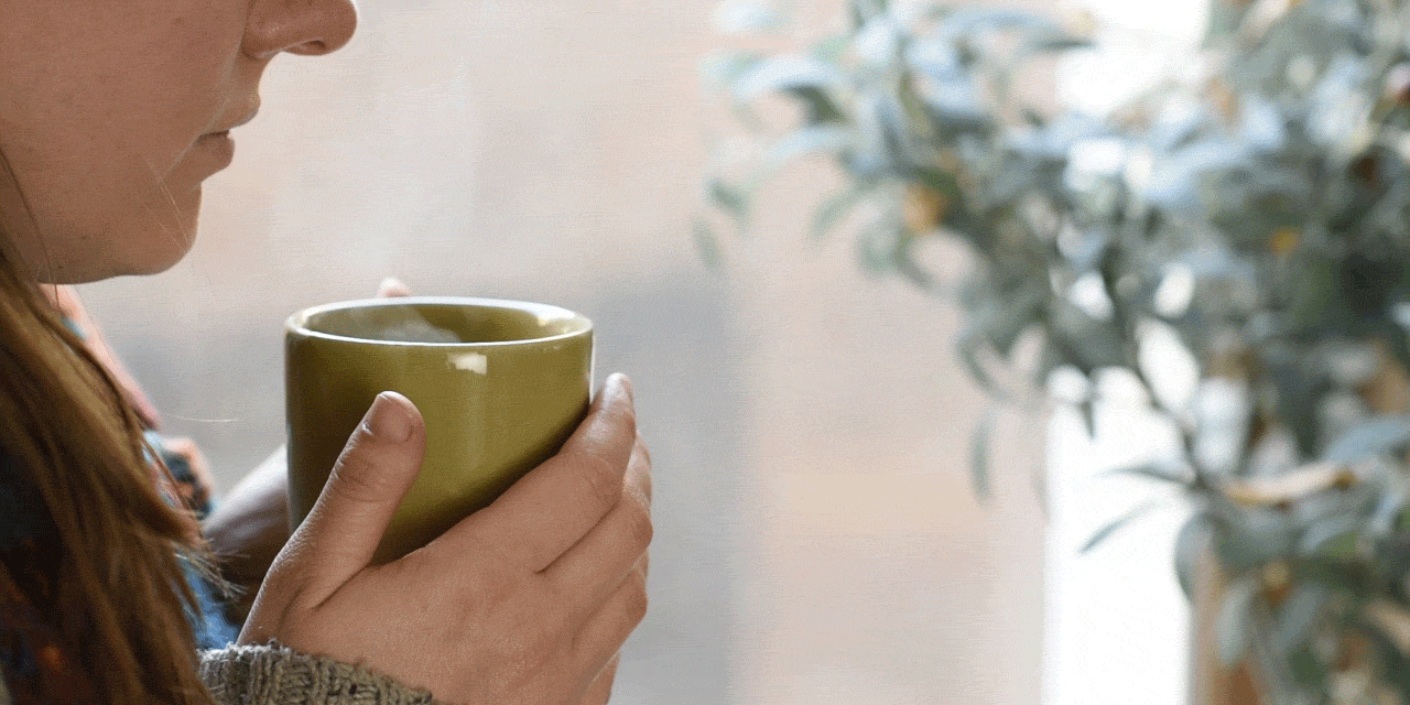 Panera Cinemagraphs