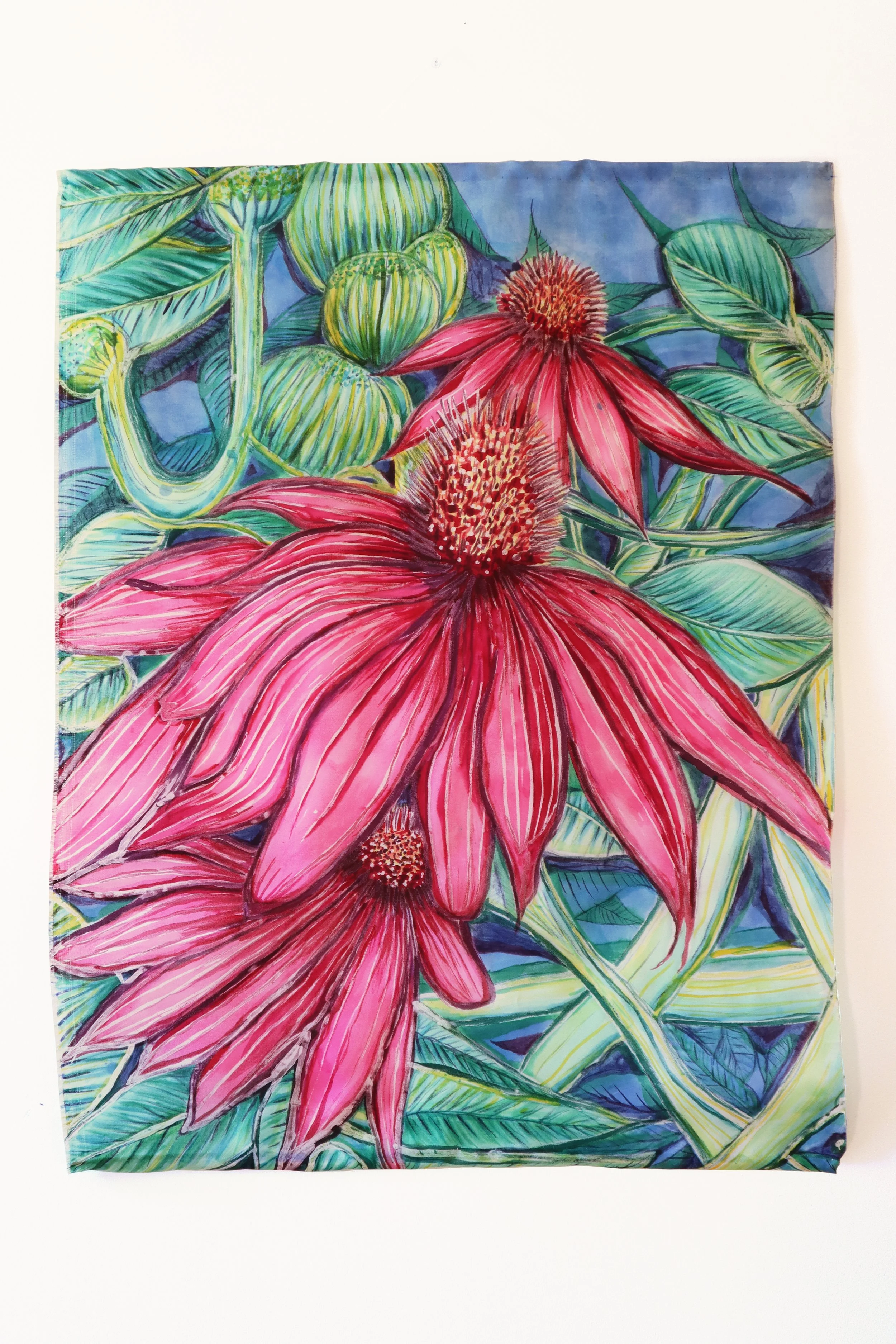 Coneflowers